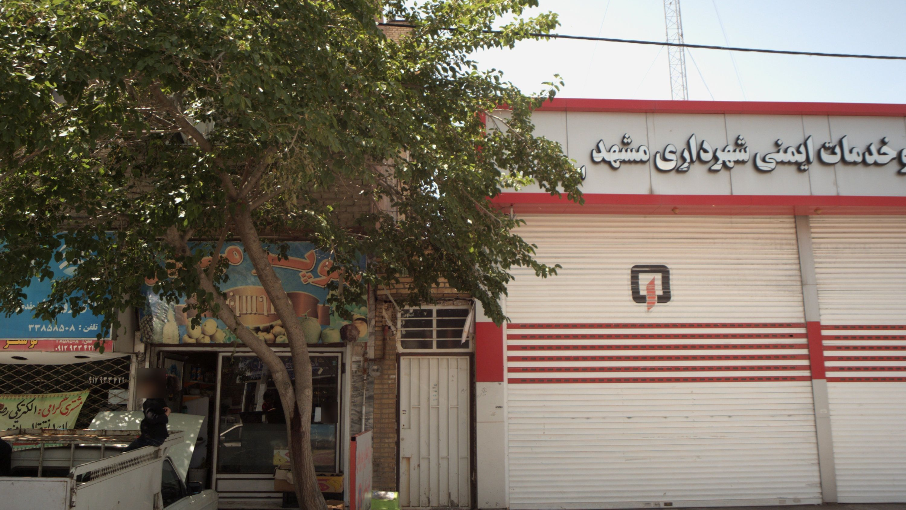 سوپر میوه محسن