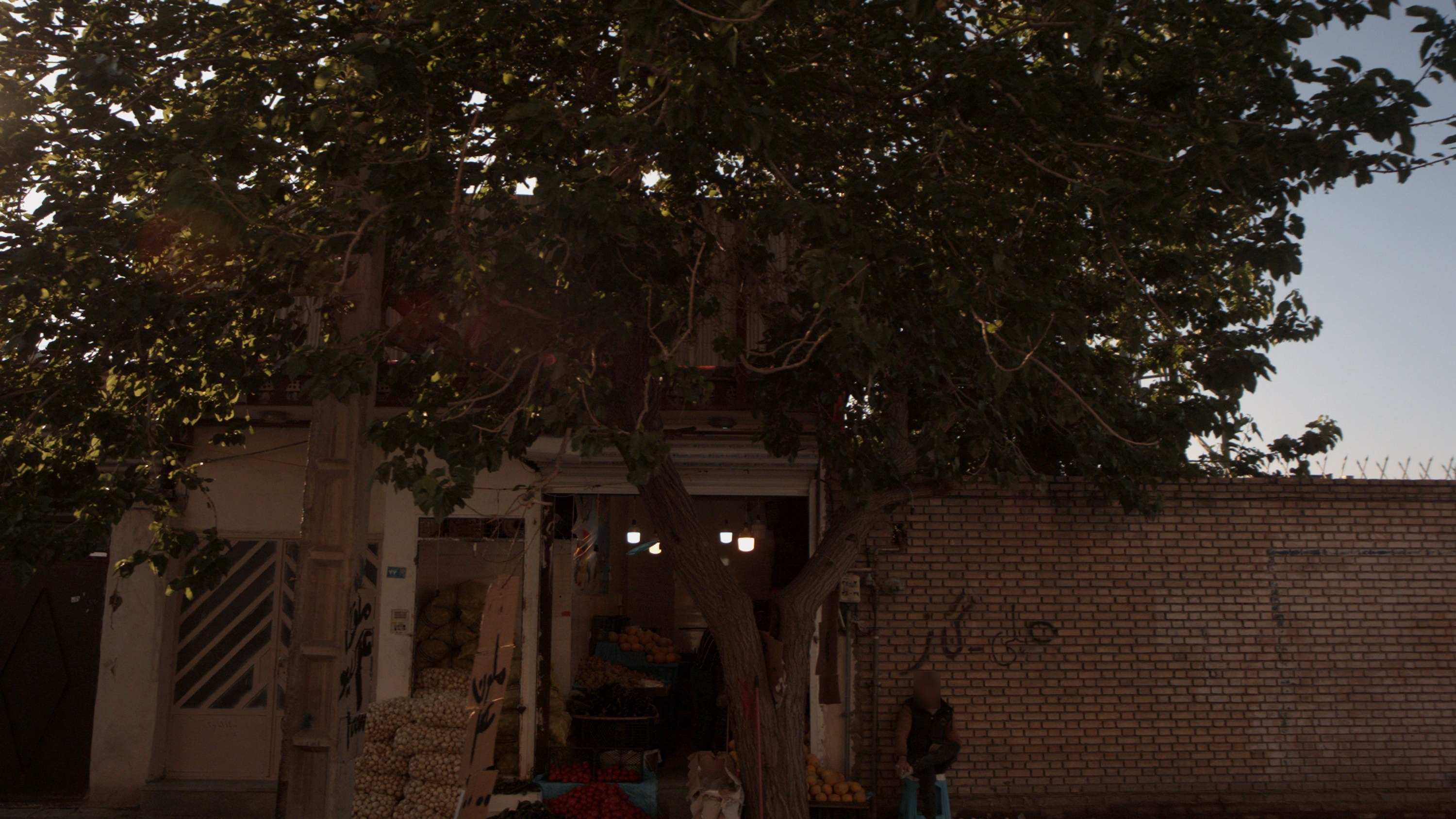 میوه فروشی