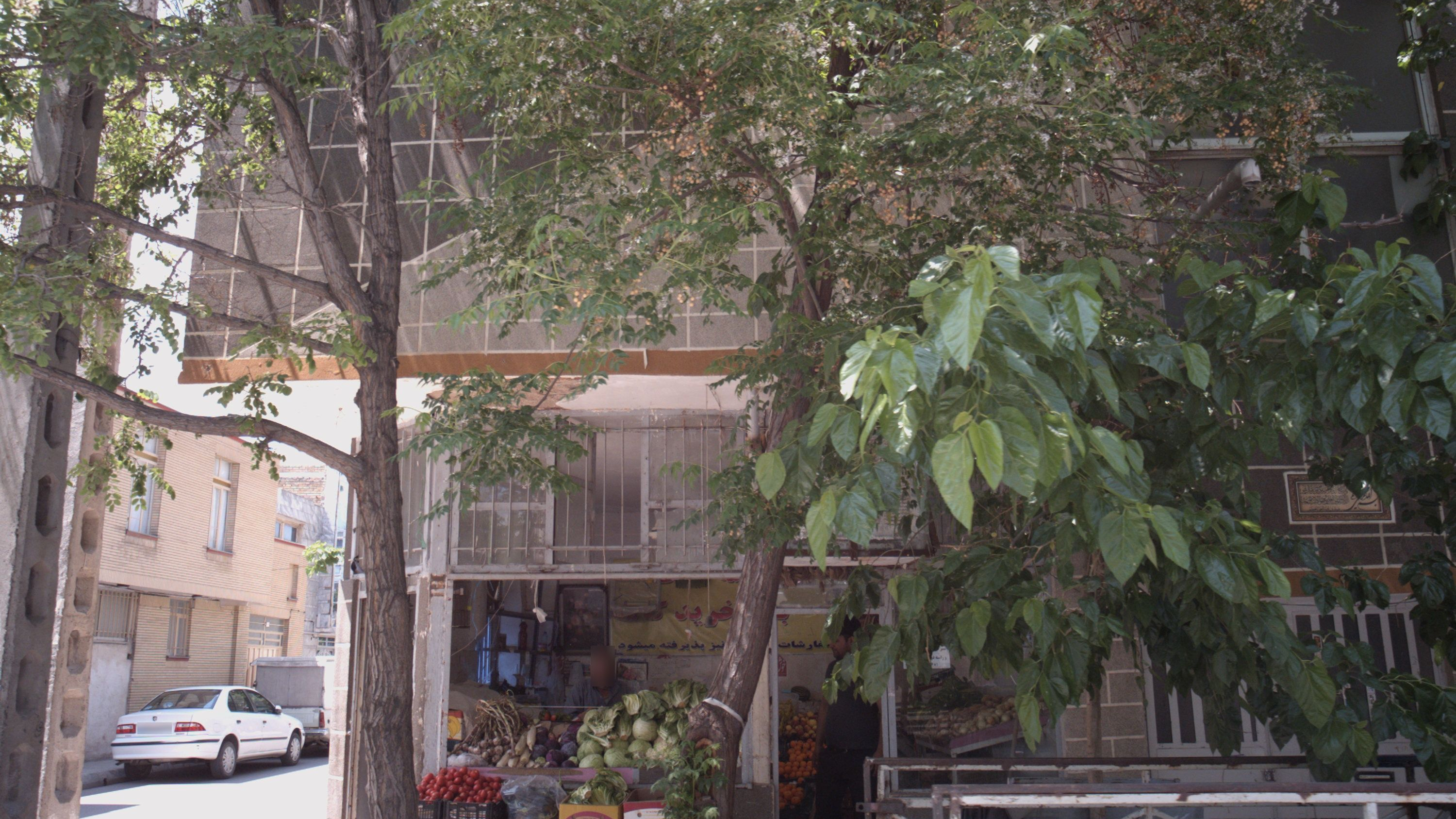 میوه فروشی