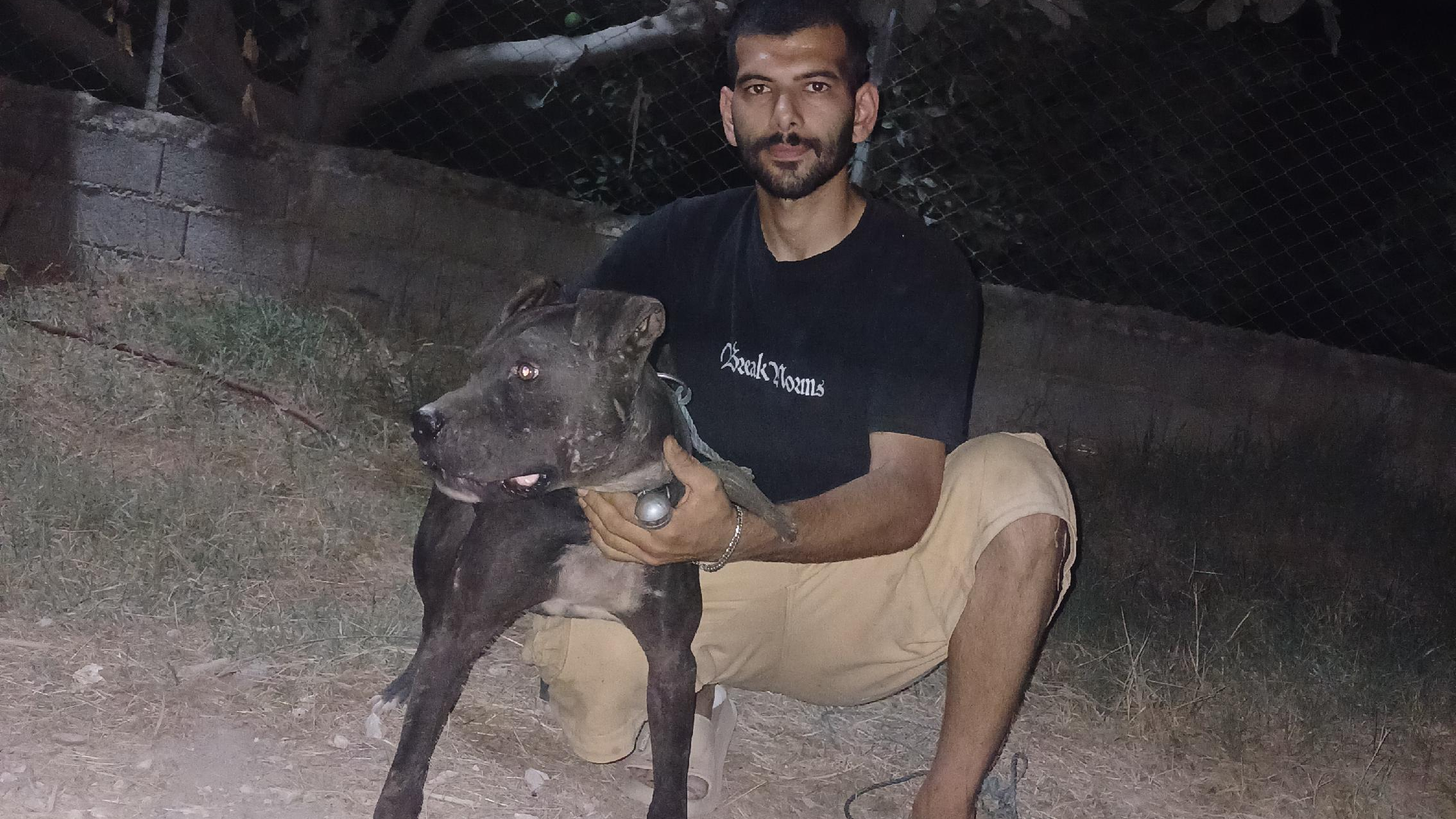 پرورش پیتبول