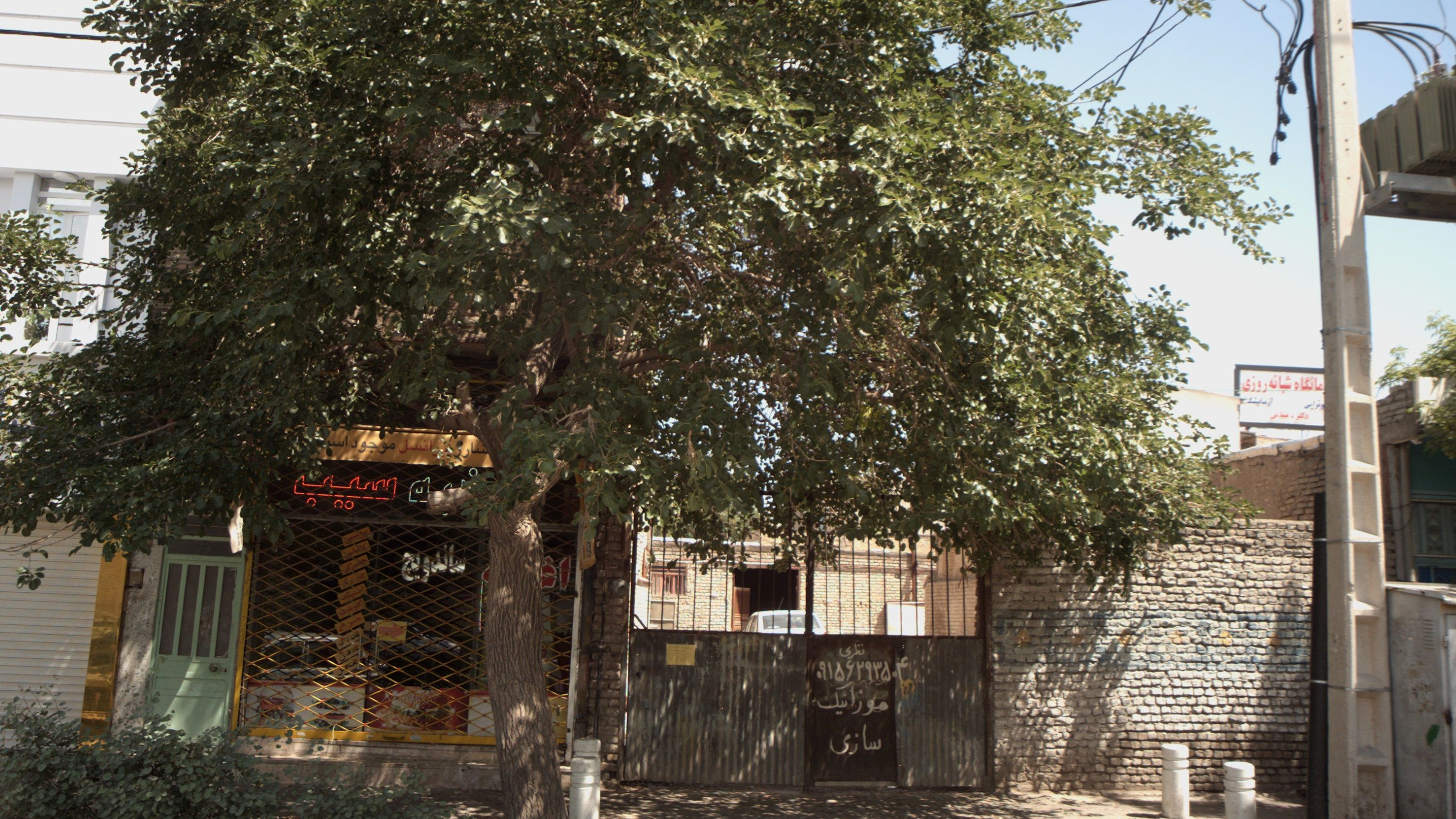 اغذیه سیب