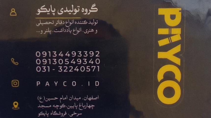 گروه تولیدی پایکو
