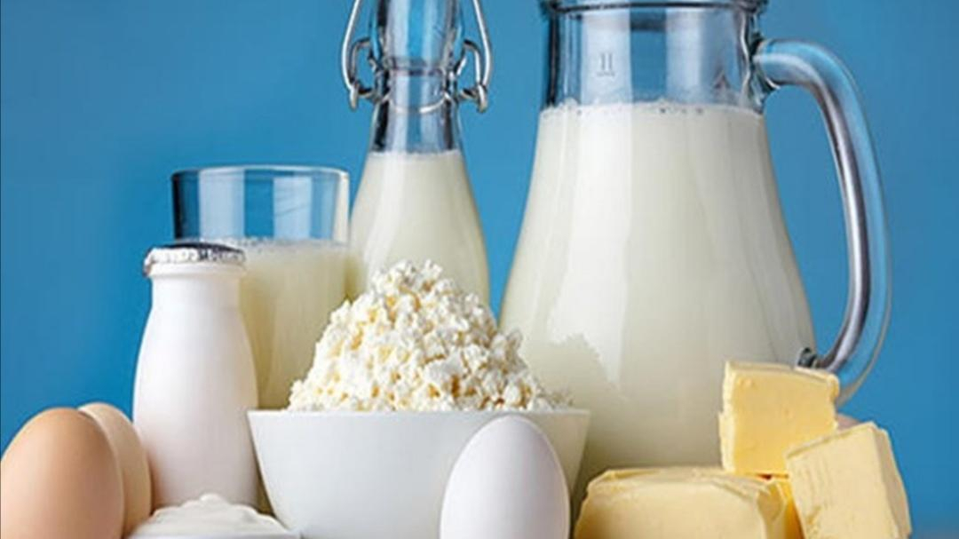 لبنیات تاتلی