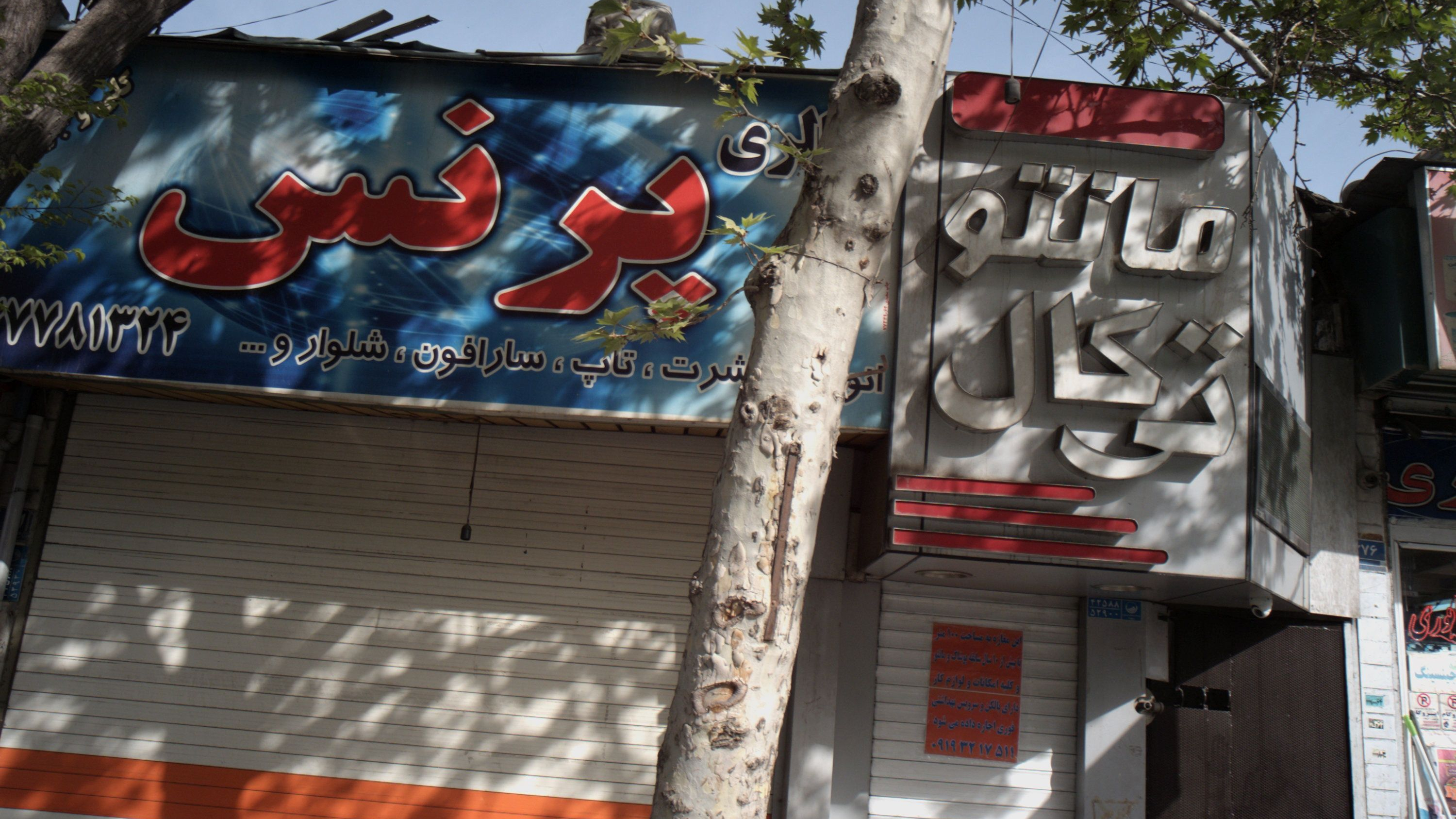 گالری پرنس