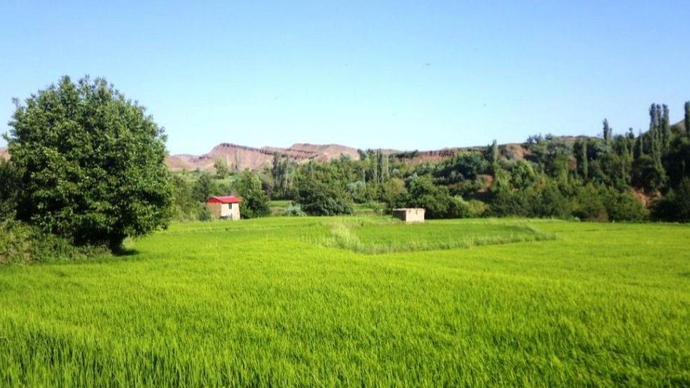 اقامتگاه کلبه پدری حاج مهدی