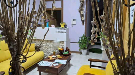 کلینیک تخصصی گرین ماساژ (ریحانه افقری)