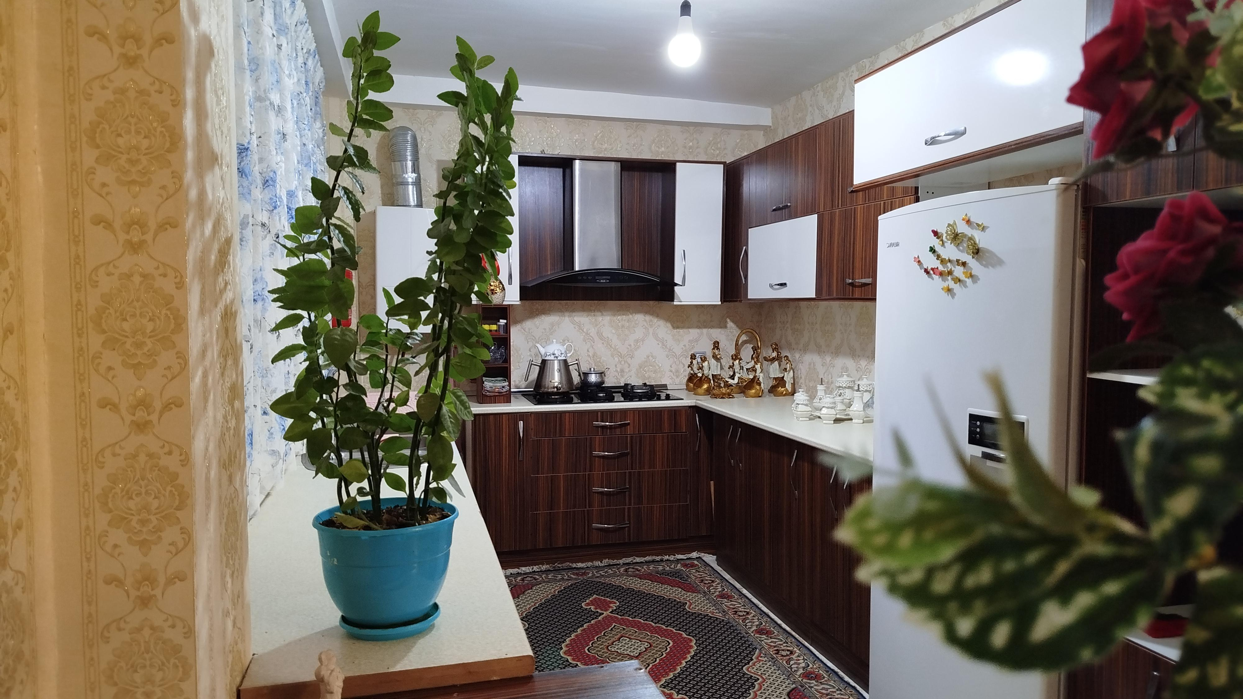 ویلا دوخوابه جنگلی فرهاد سیاری