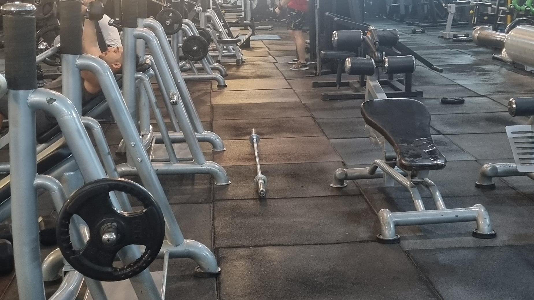 باشگاه بدنسازی جدی