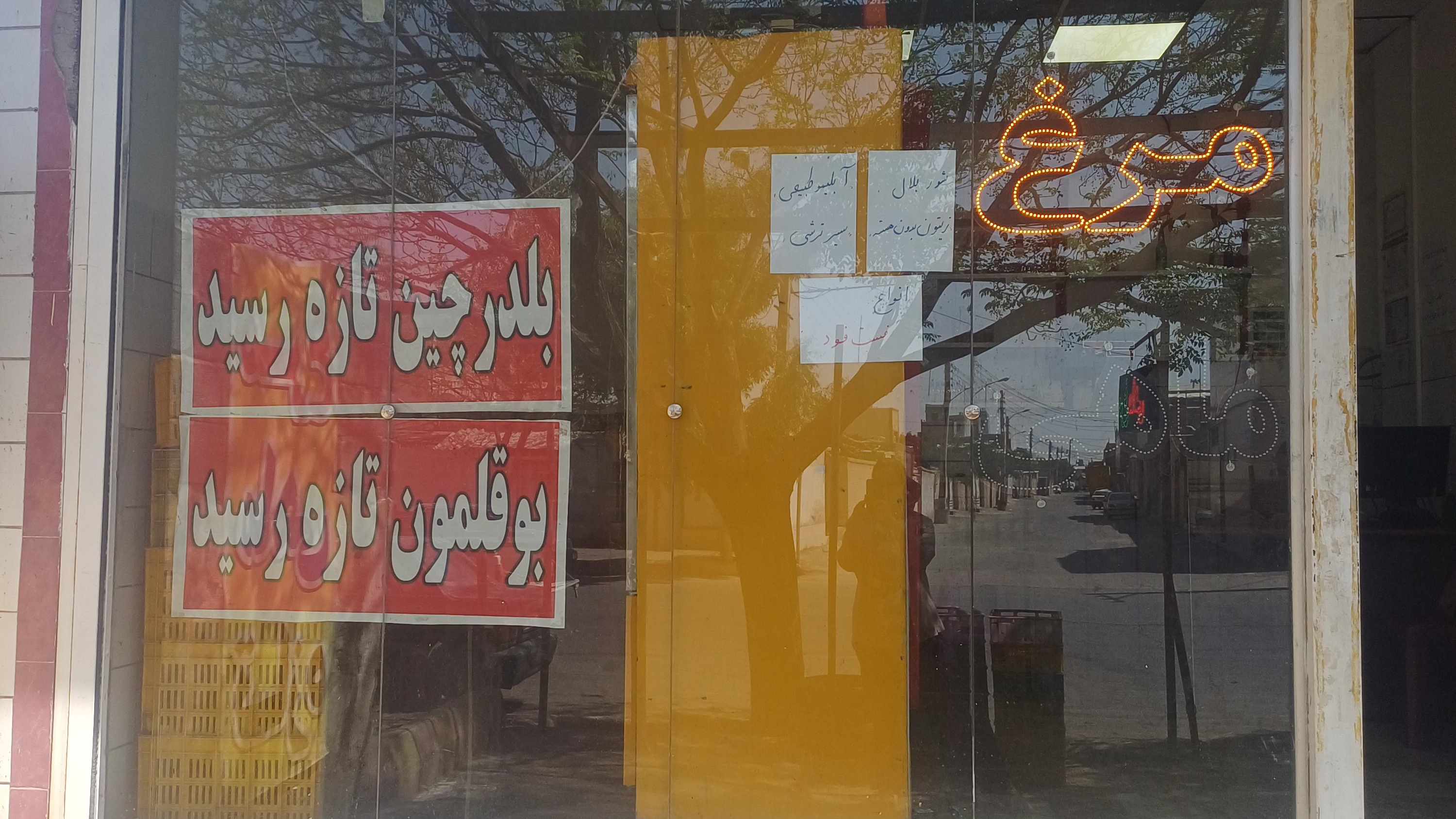 مرغ وماهی مهدی