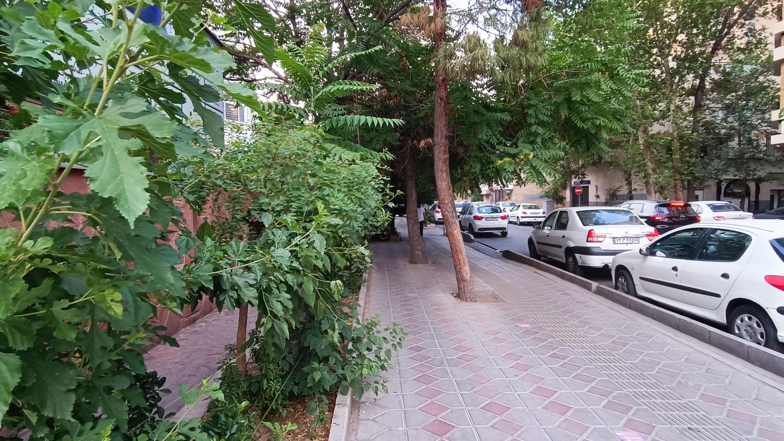 ساختمان پزشکان شکوفه