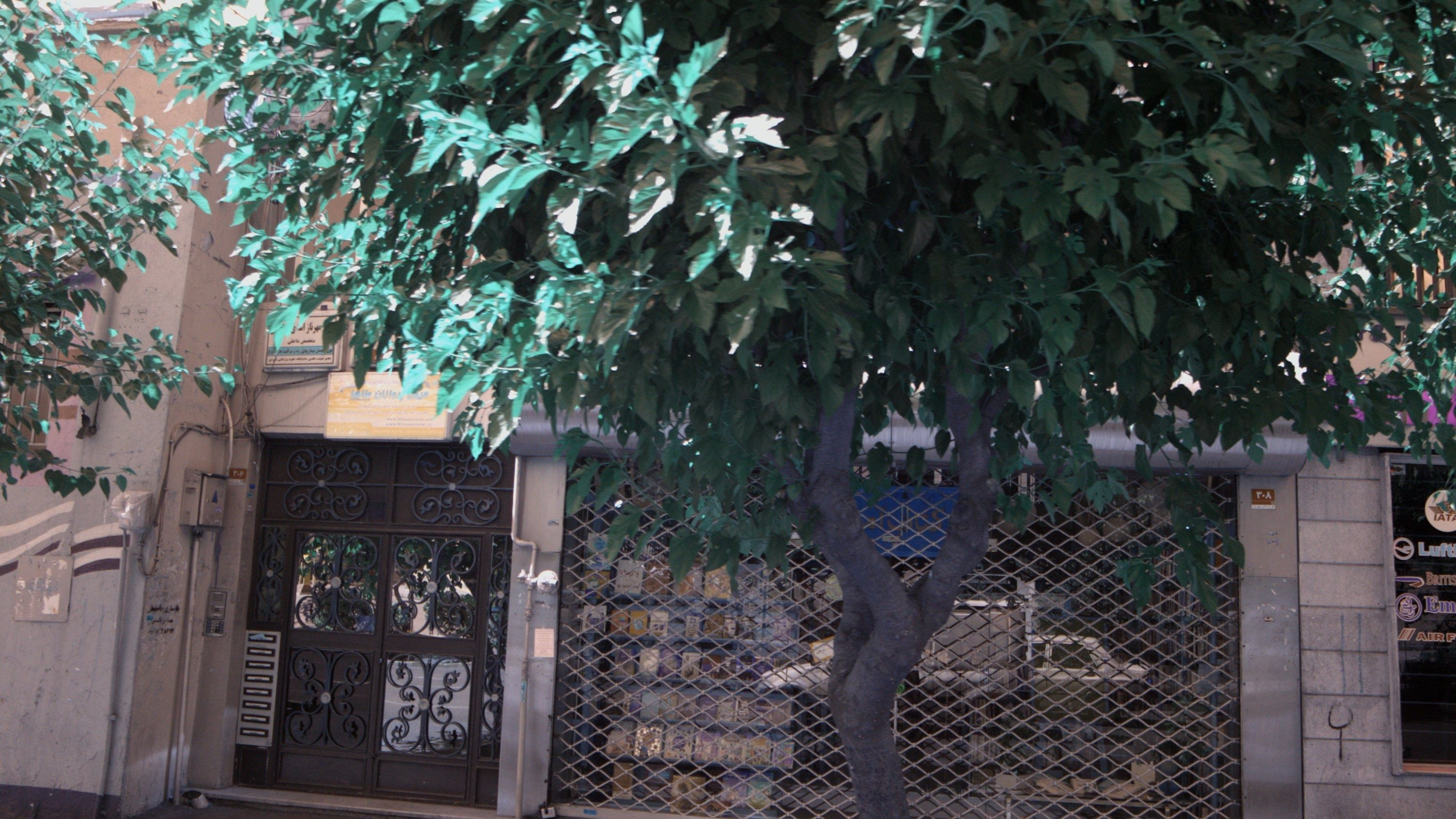 مطب مهرناز اسدی