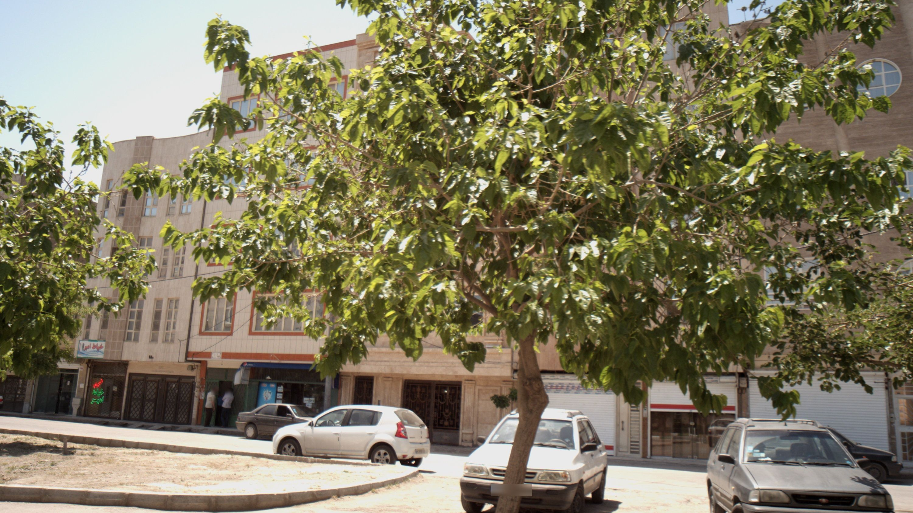 سوپر مارکت