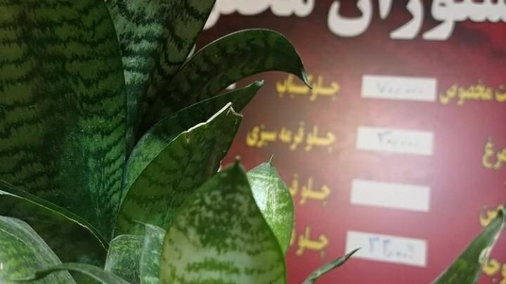 کترینگ و رستوران محفل