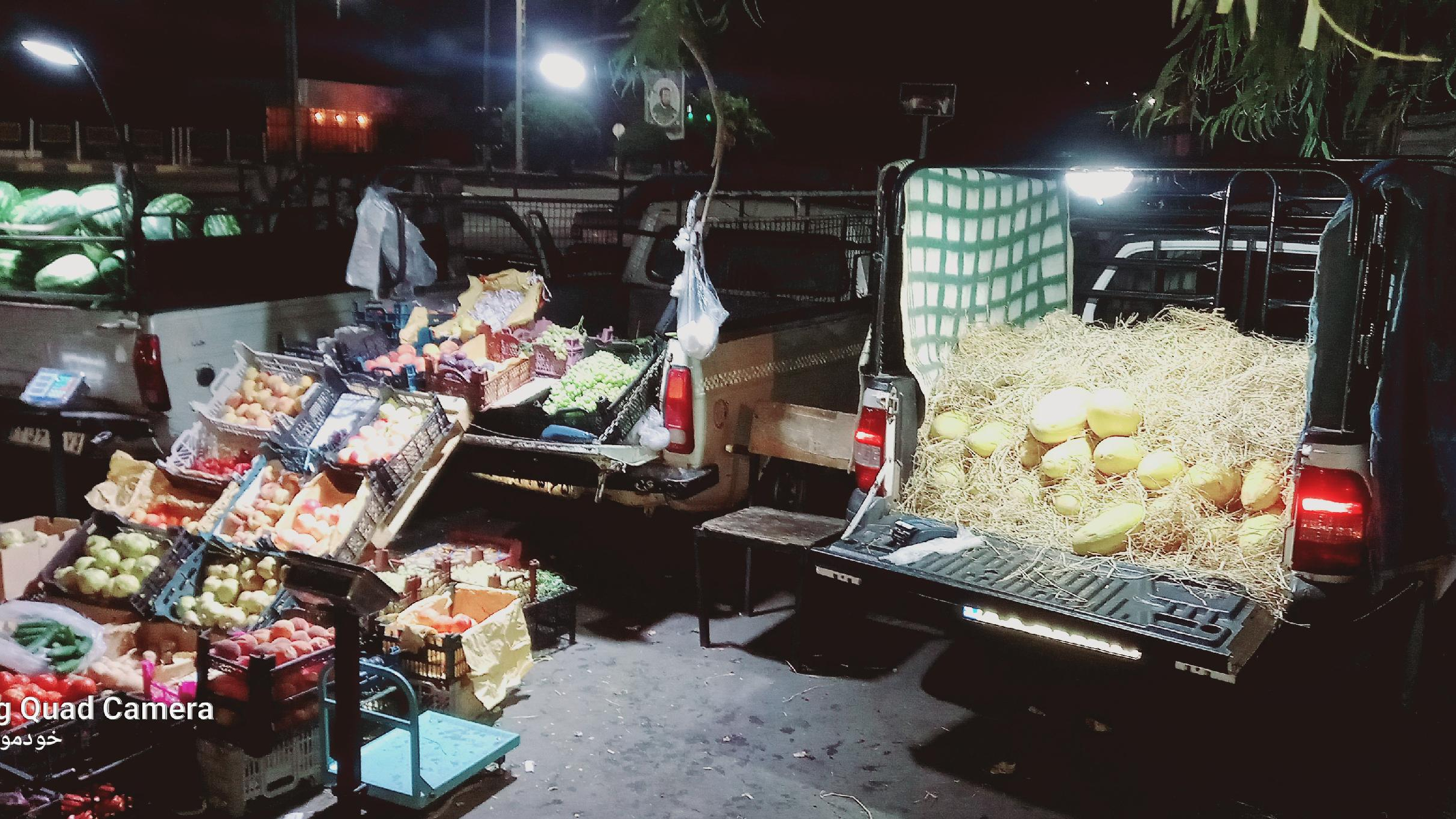 میوه و تربار رفقا(قاسم.خدابخش.محمدرضا)