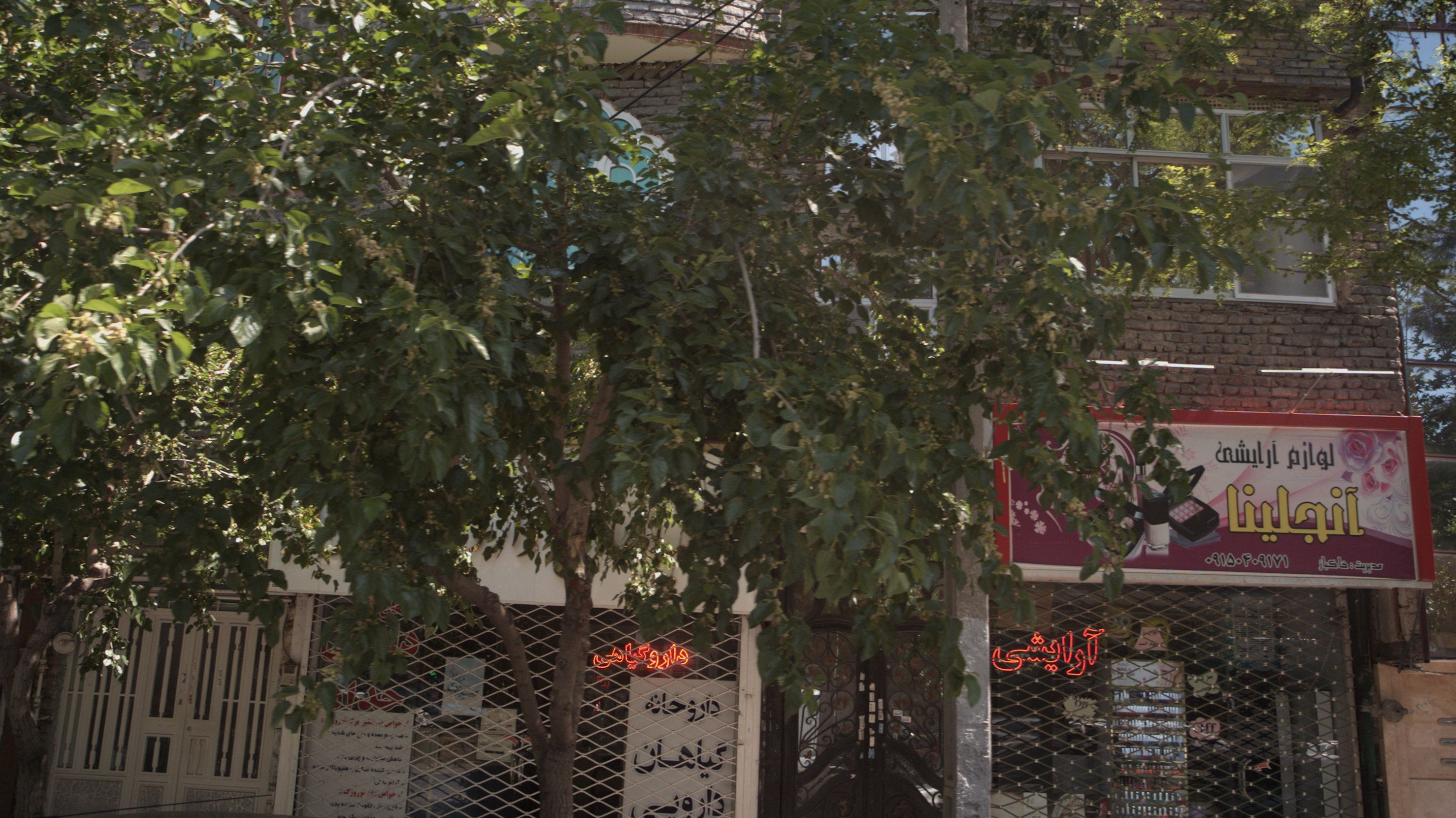 داروخانه گیاهان دارویی حداد