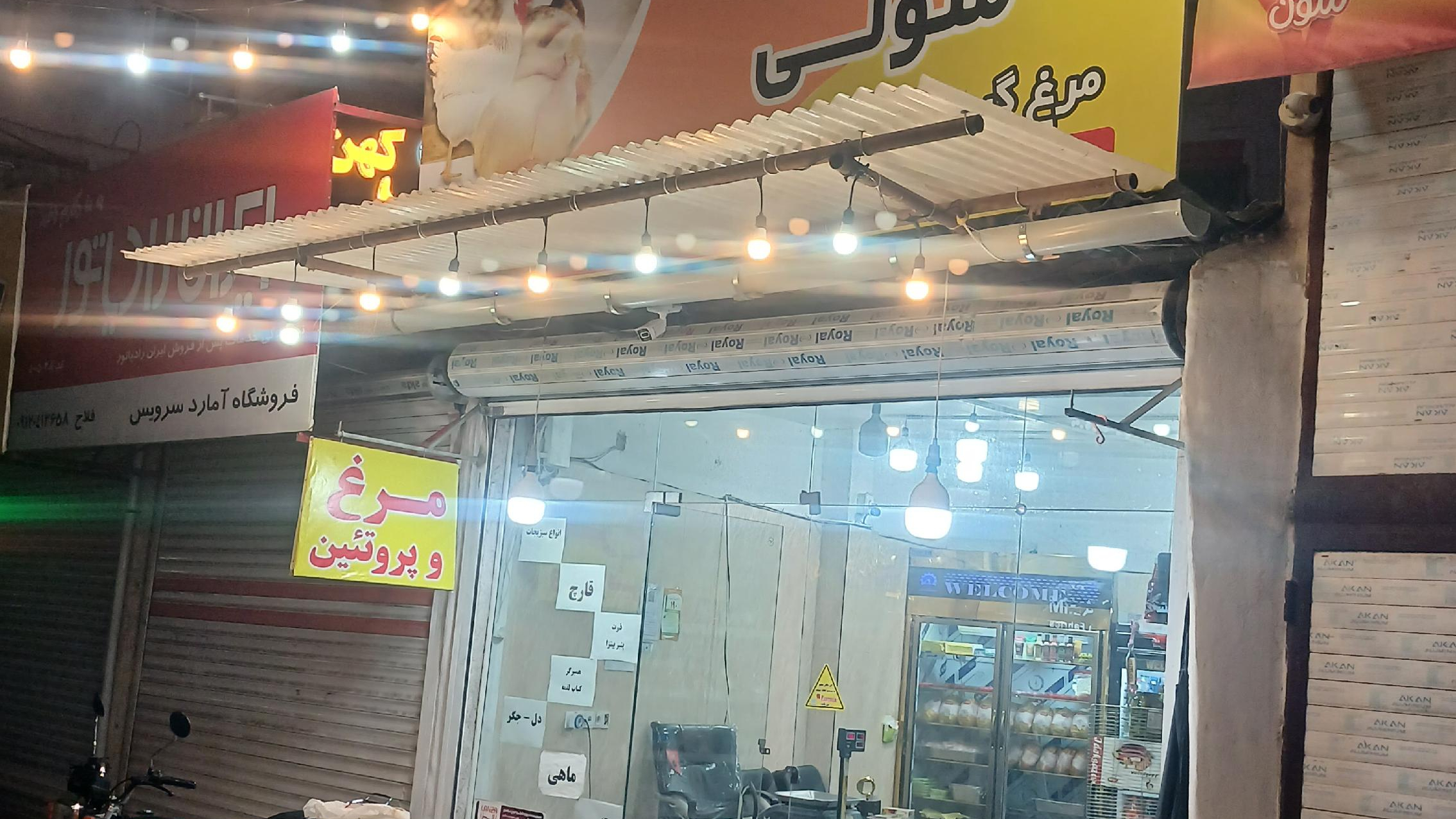 مرغ و پروتئین  متولی