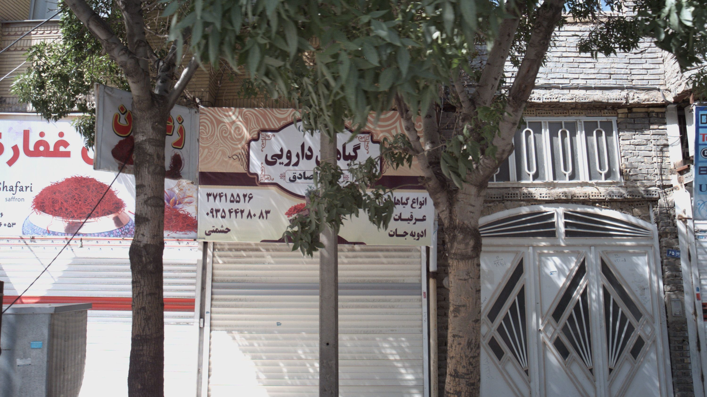 گیاهان دارویی طب الصادق
