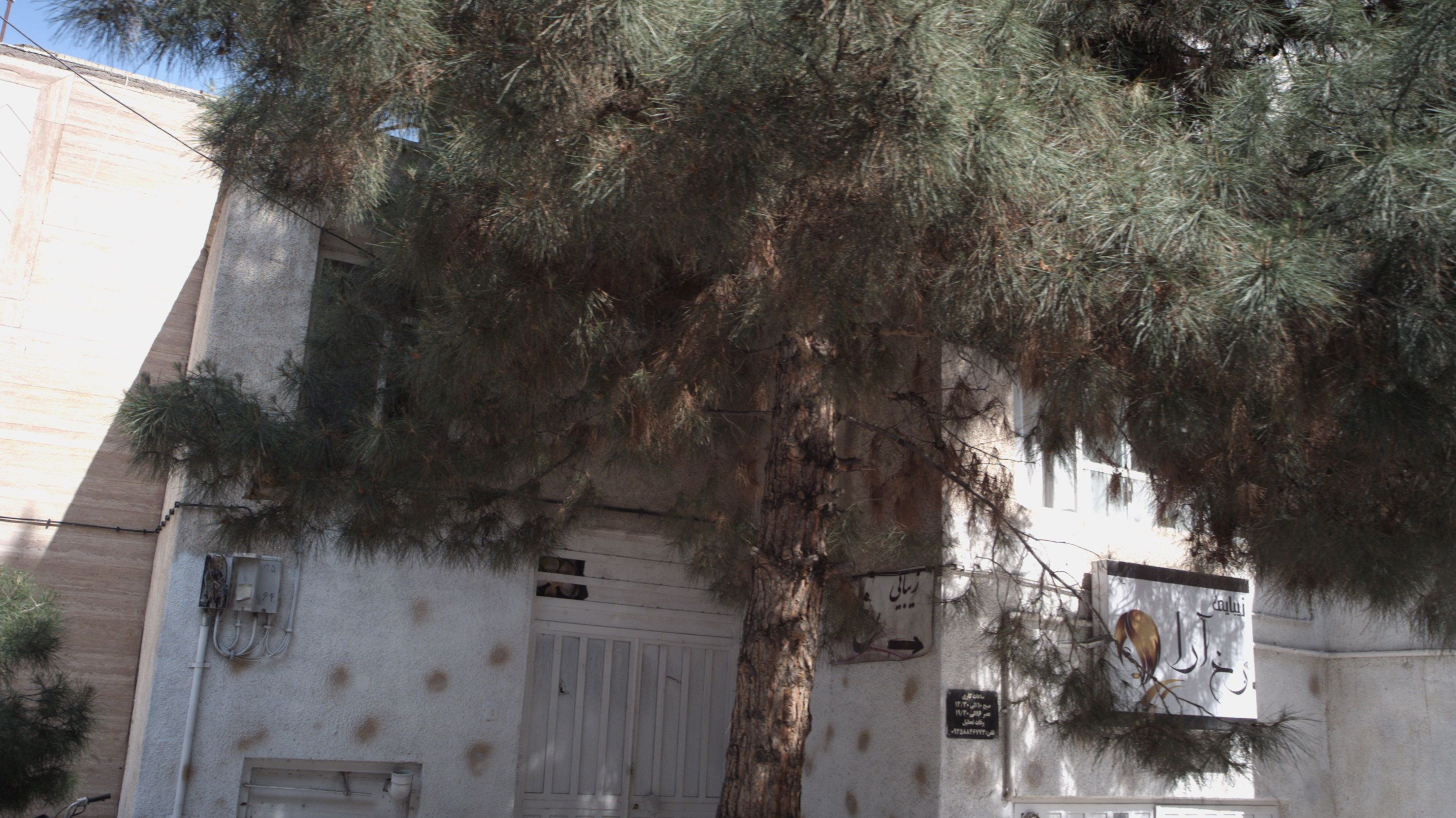 زیبایی رخ آرا