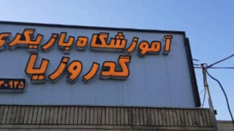 آکادمی بازیگری گدروزیا