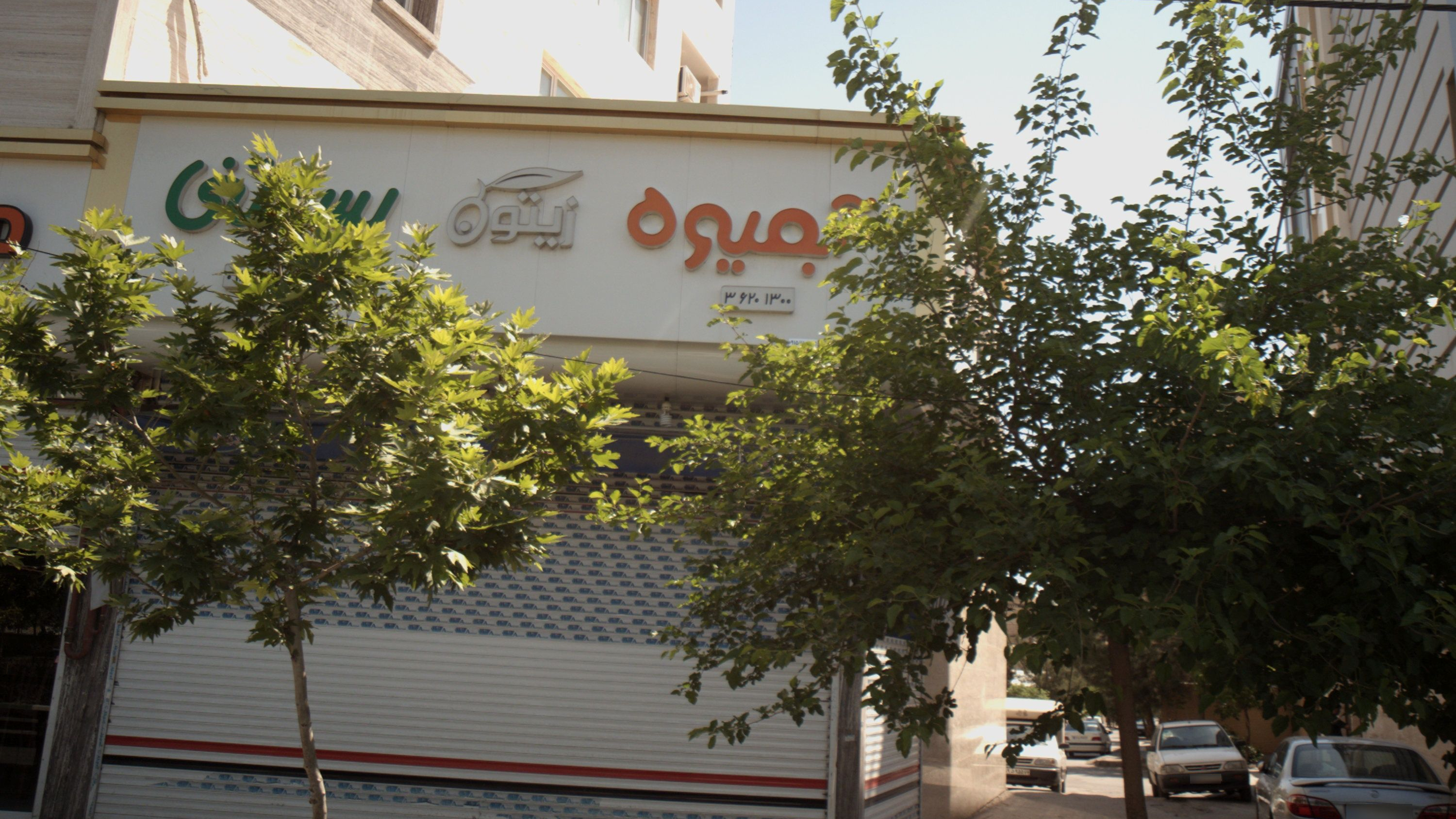 کافی شاپ زیتون