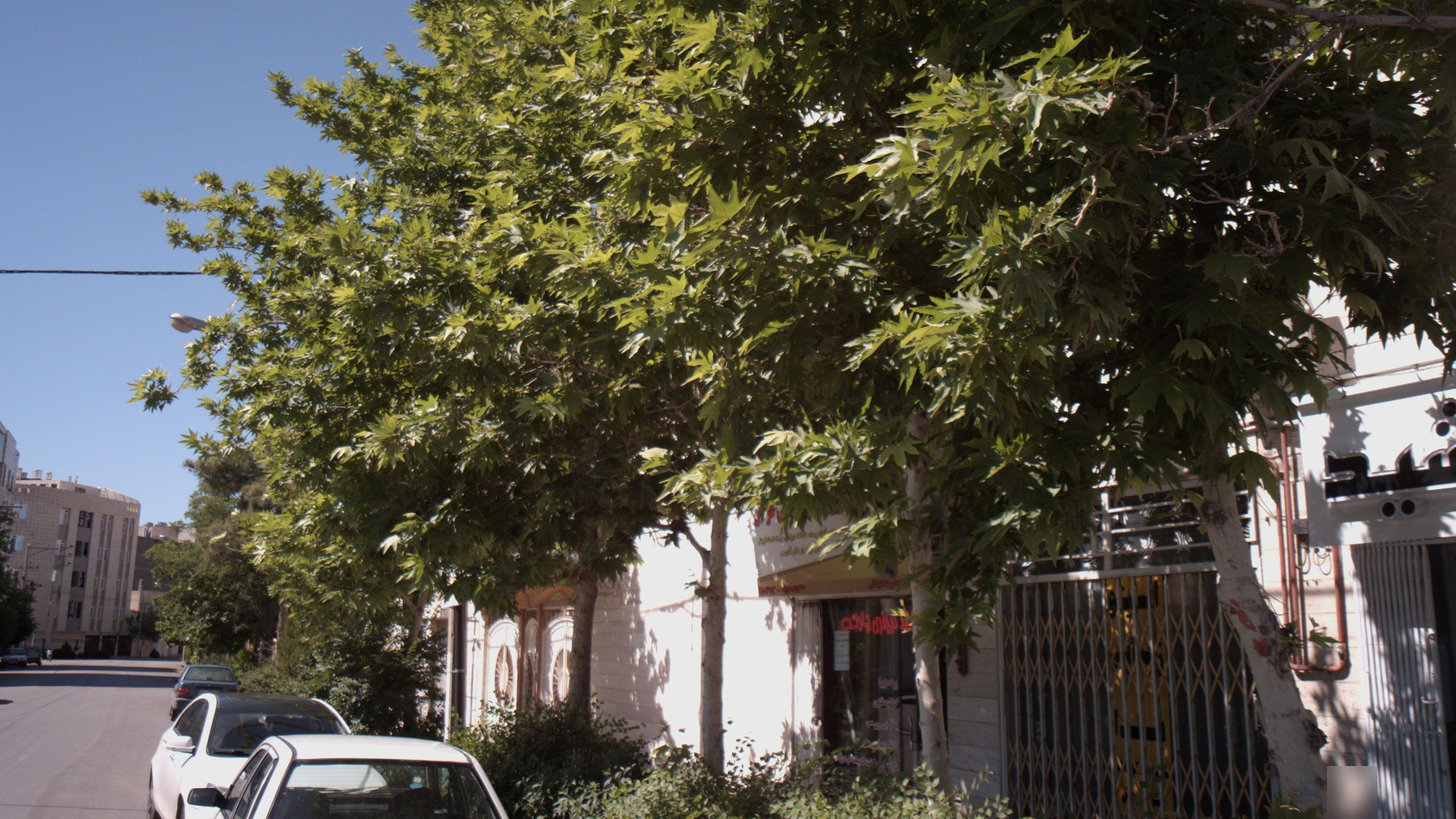 انیستو زیبایی یلدا