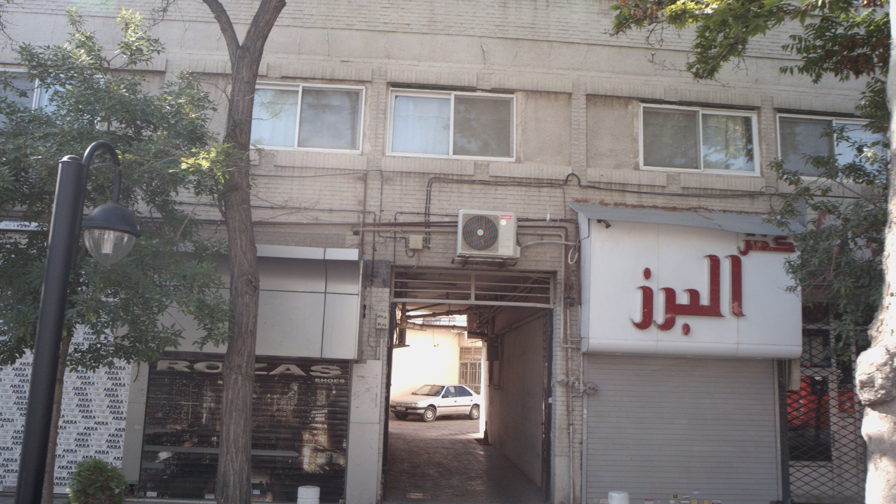 کفش البرز