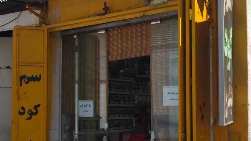 فروشگاه کشاورزی گلبرگ