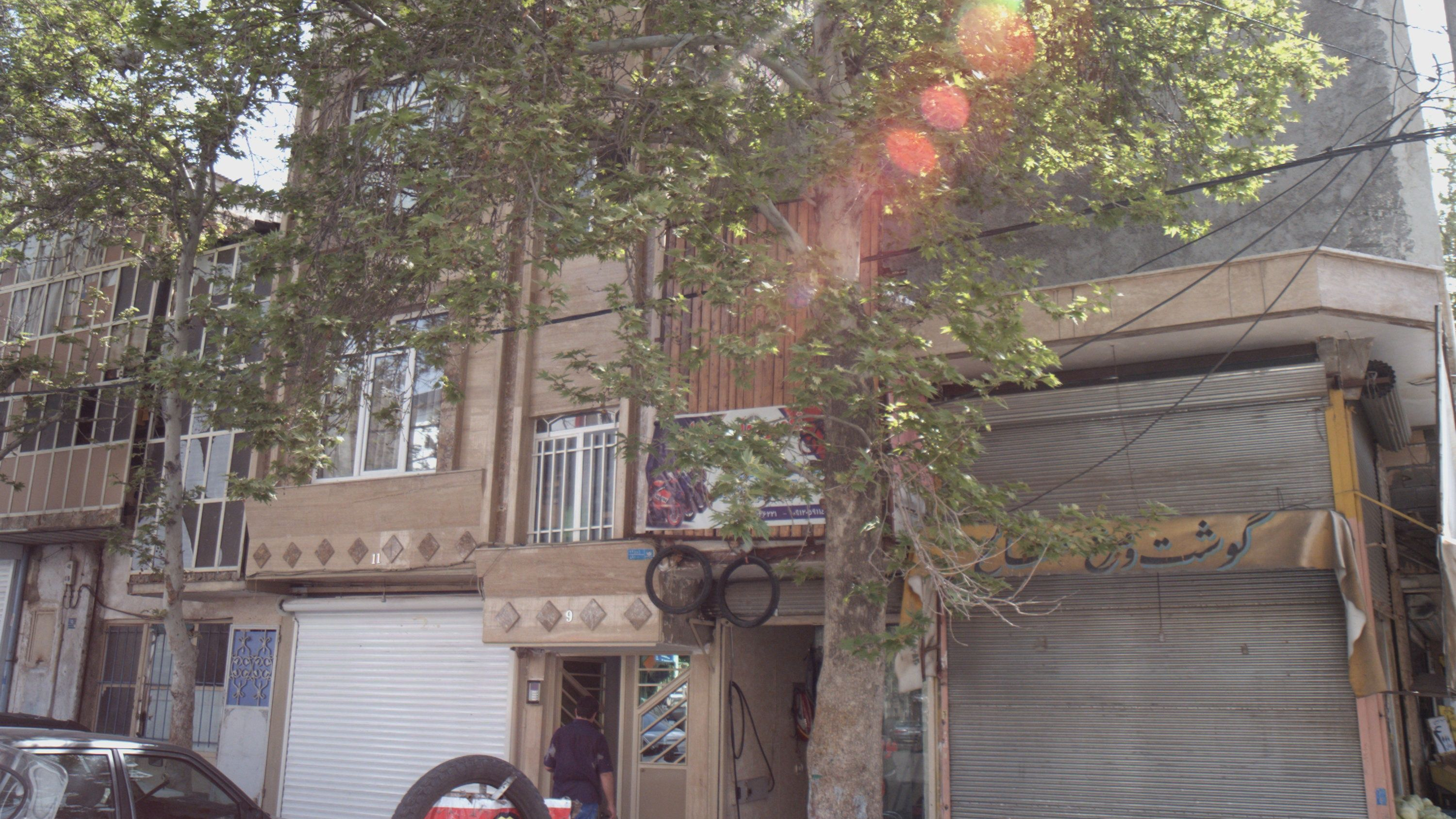 گوشت و مرغ صالح