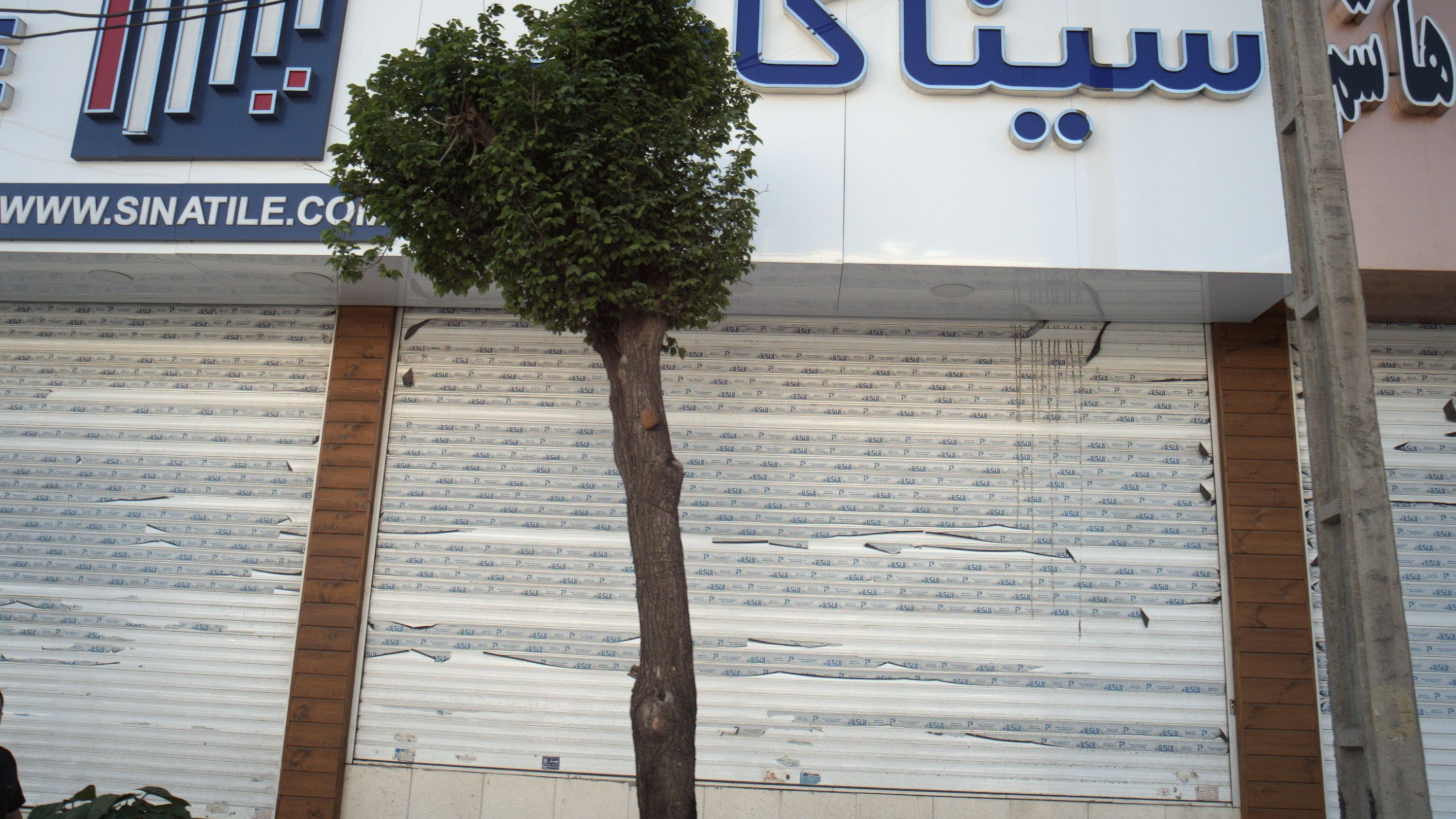 سینا کاشی