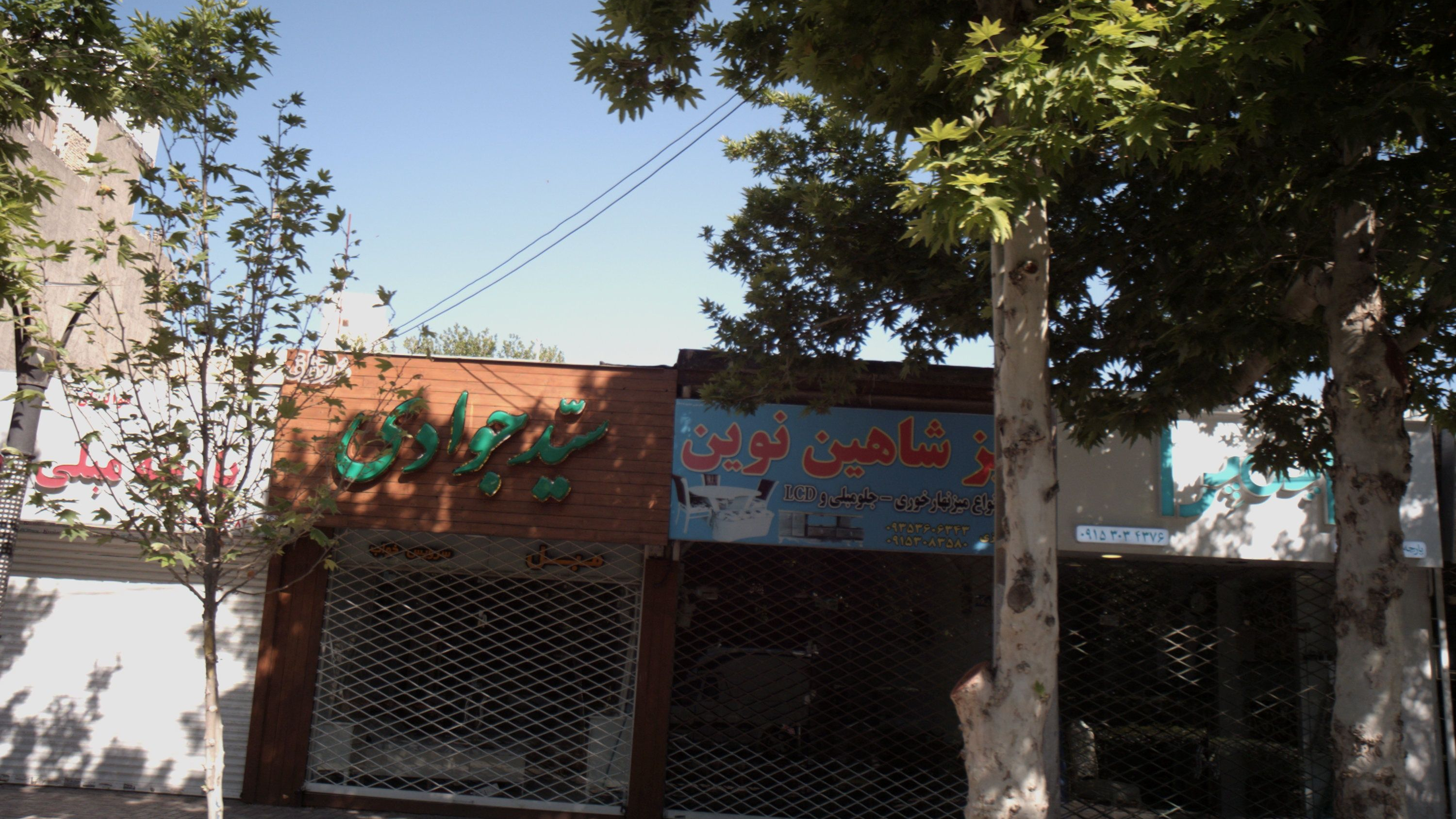 سیّد جوادی