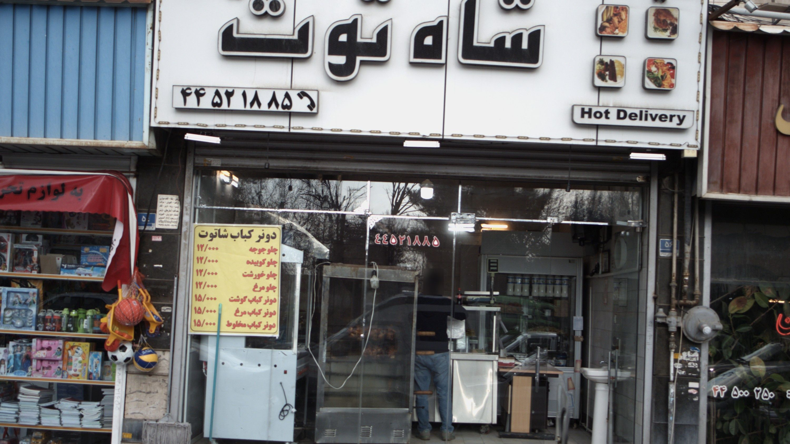 تهیه غذای شاه توت