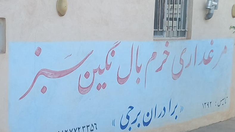 مرغداری برجی ( خرم بال نگین سبز)