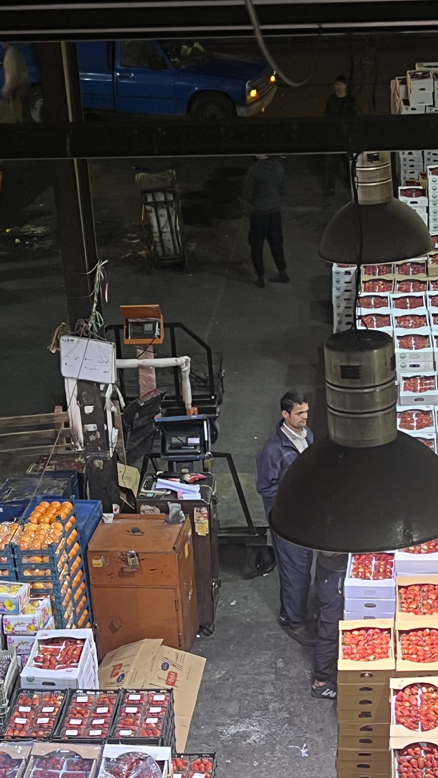 بازرگانی توت فرنگی ابراهیم علی پور