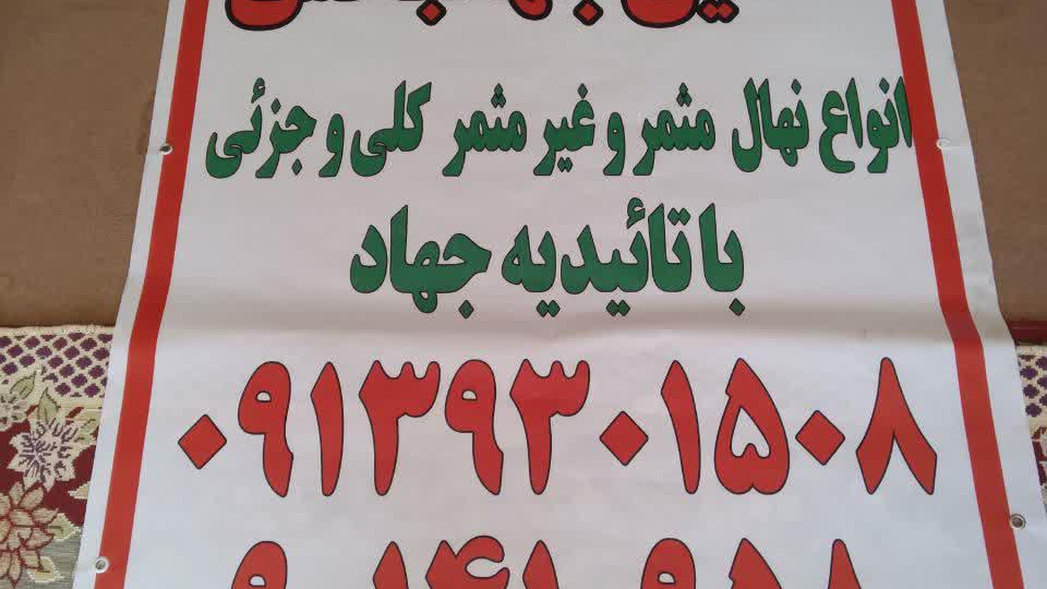نهال فروشی حسین جهانبخش