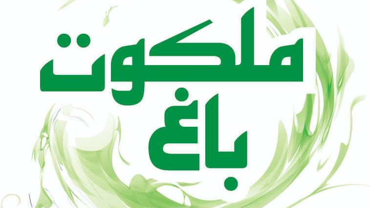 مدرسه ابتدایی دخترانه غیردولتی باغ ملکوت