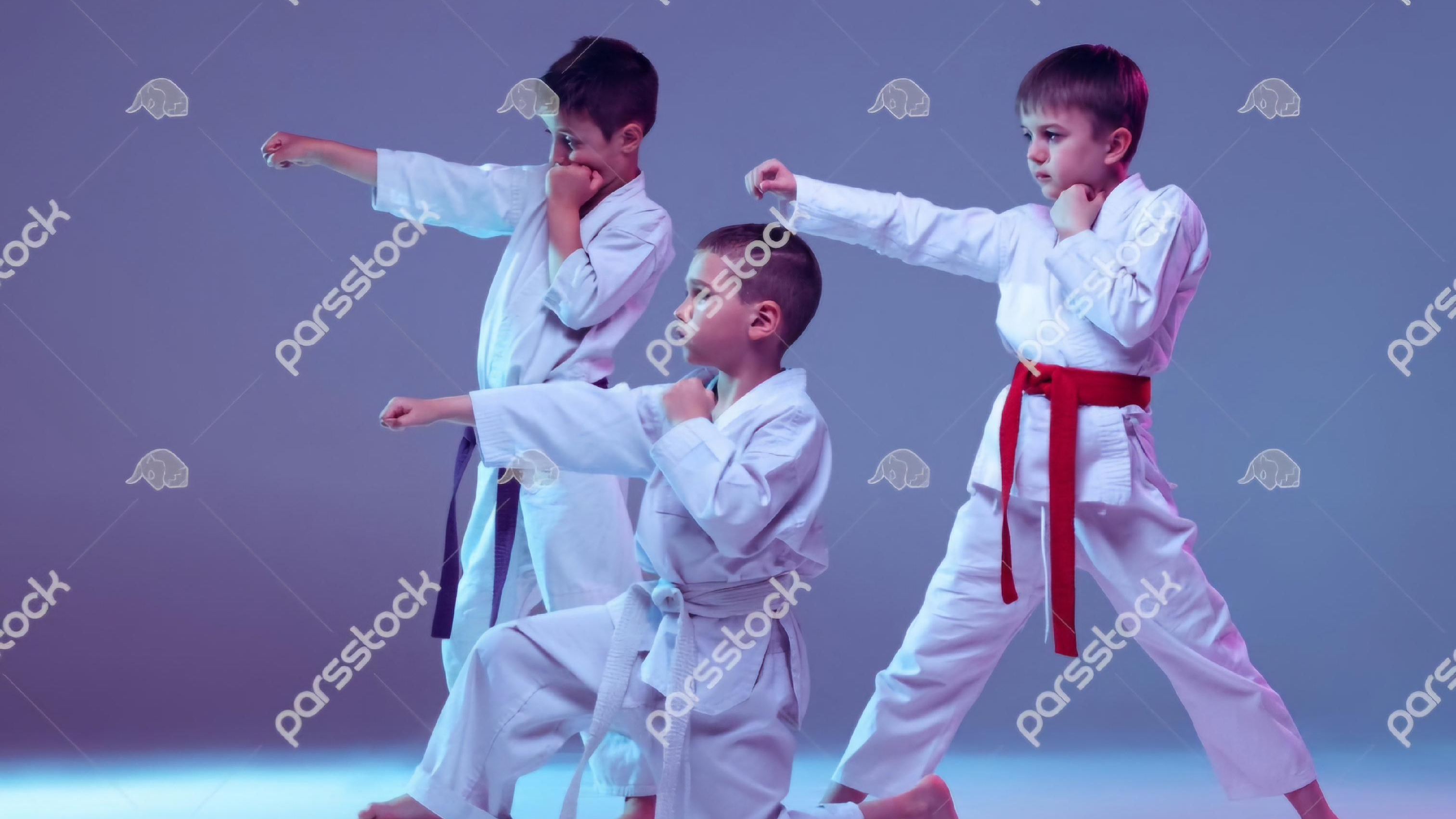 سالن رزمی شهید ابراهیم هادی