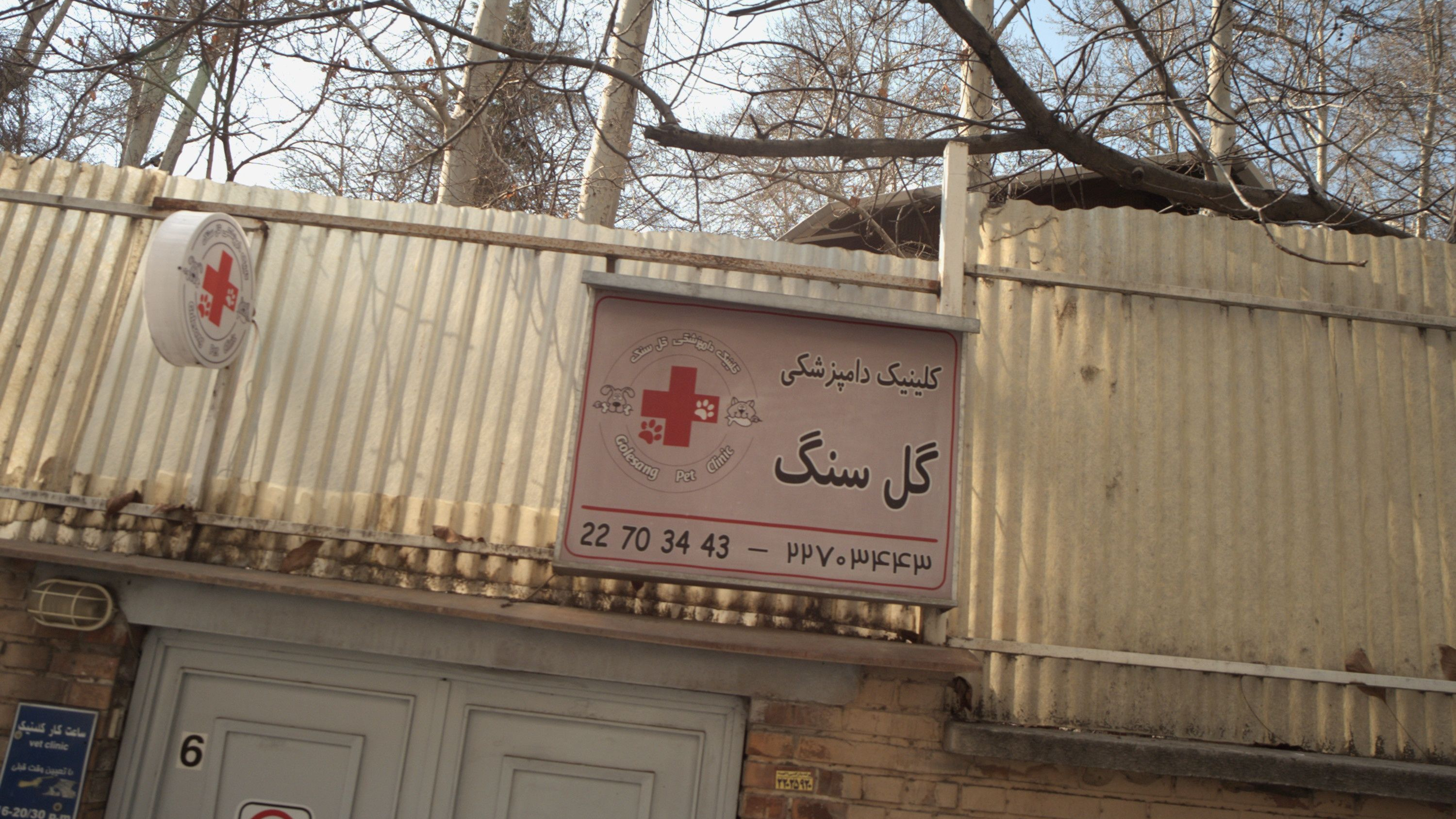 کلینیک دامپزشکی گل سنگ