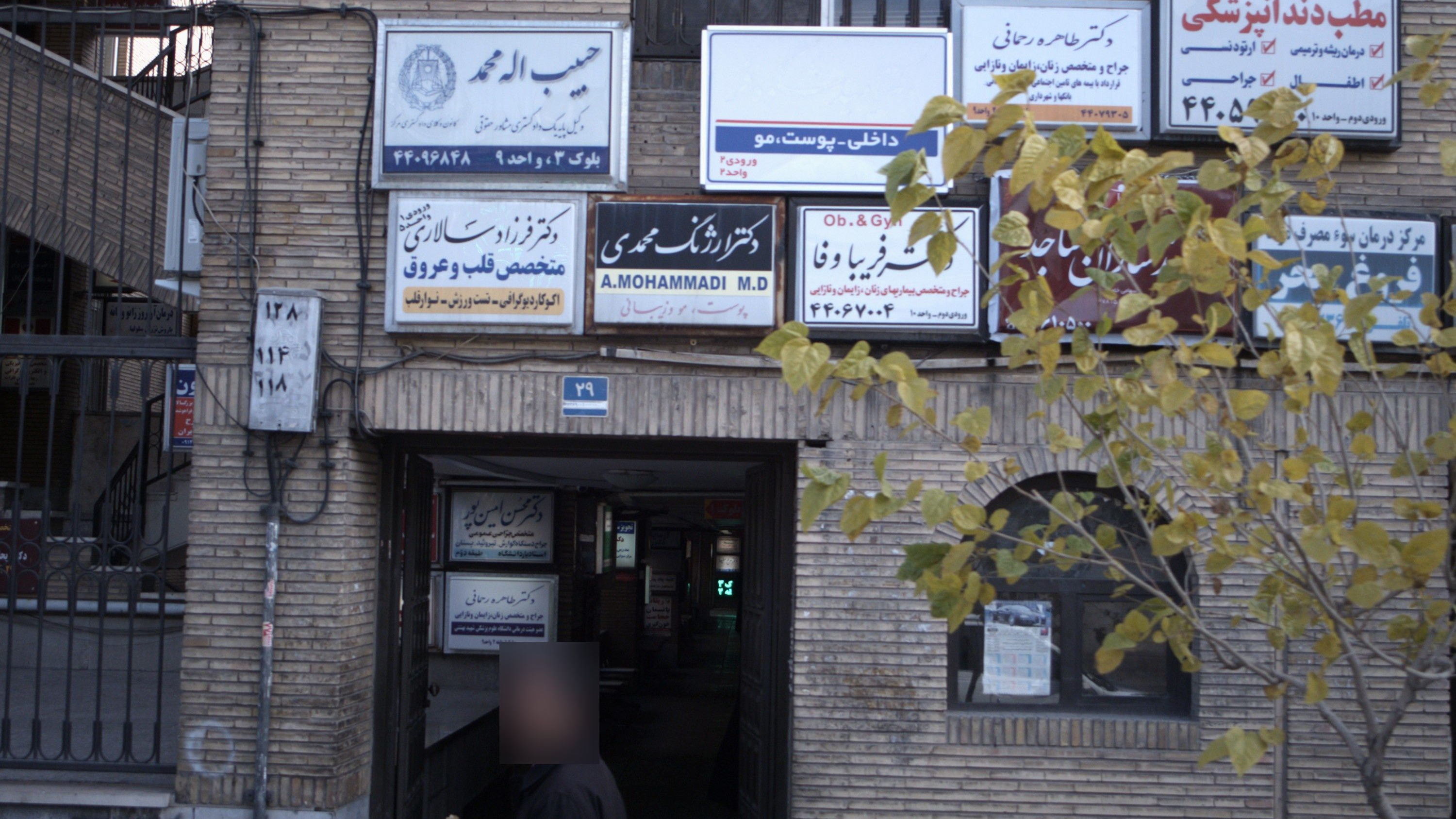 دکتر فریبا وفا