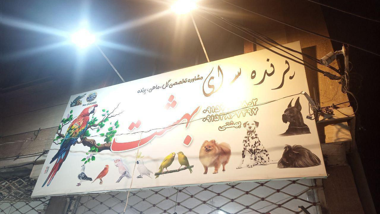 فروشگاه پرنده