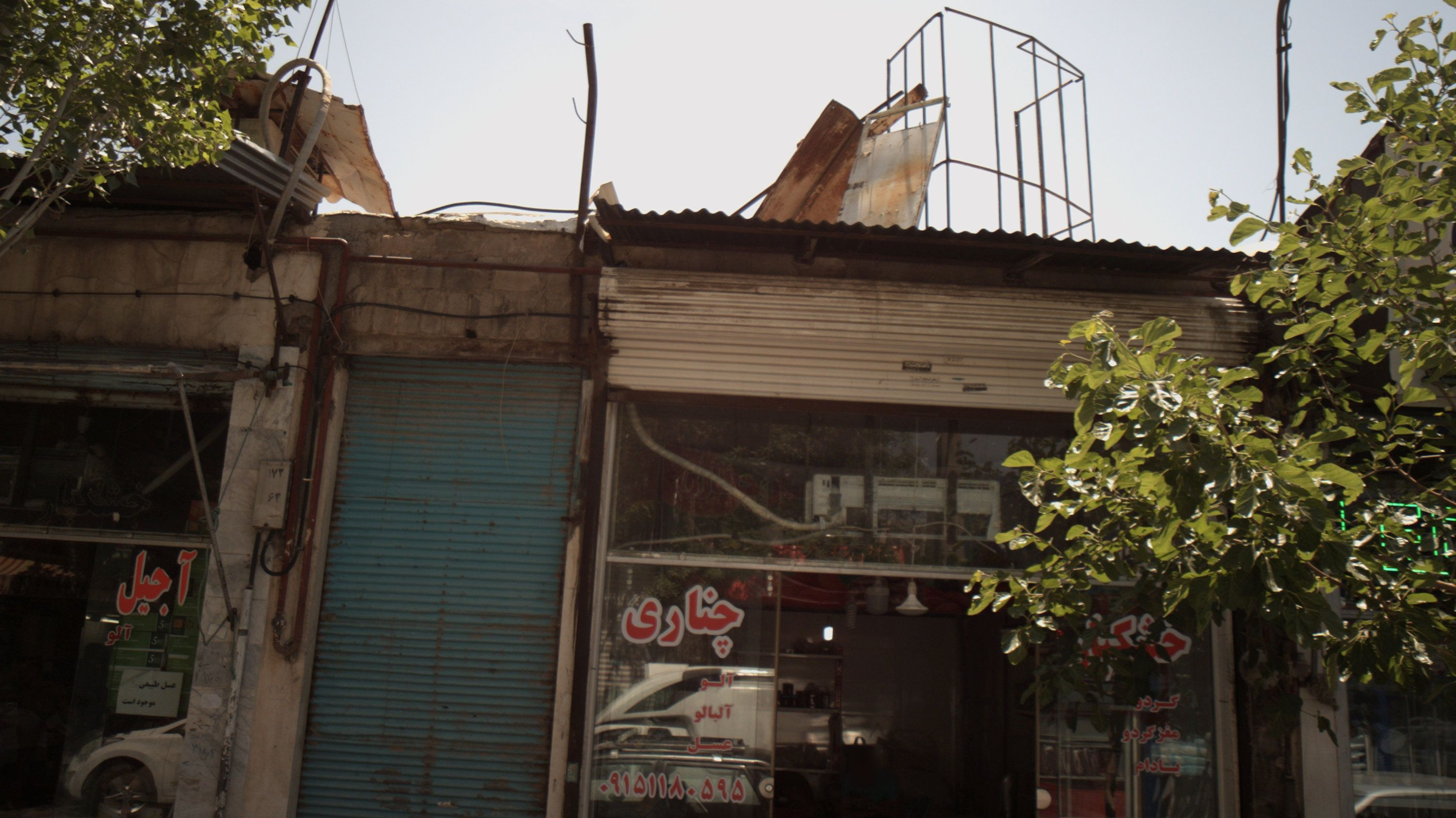 خشکبار چناری