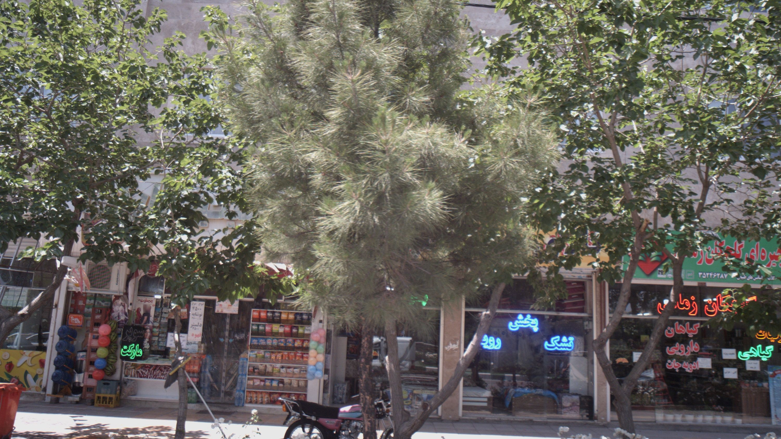 فروشگاه زنجیره ای گلچکان زمانی