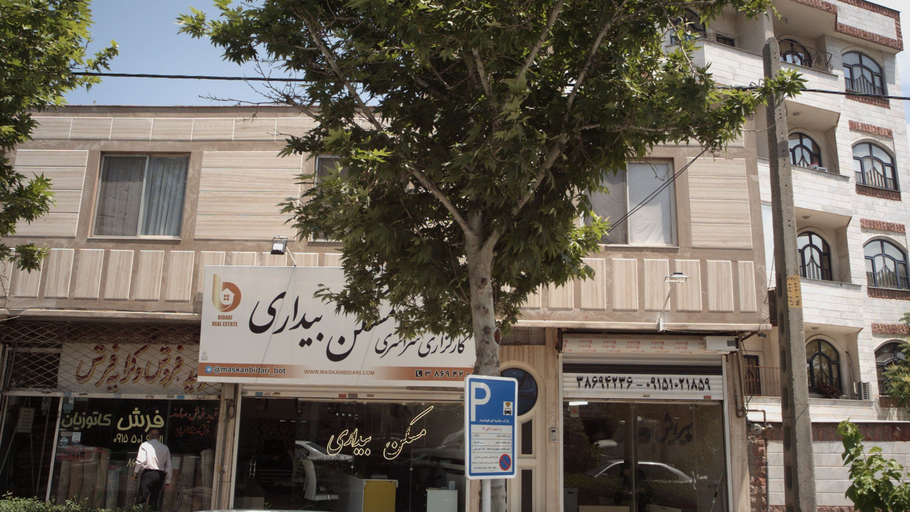 پیرایش رضا