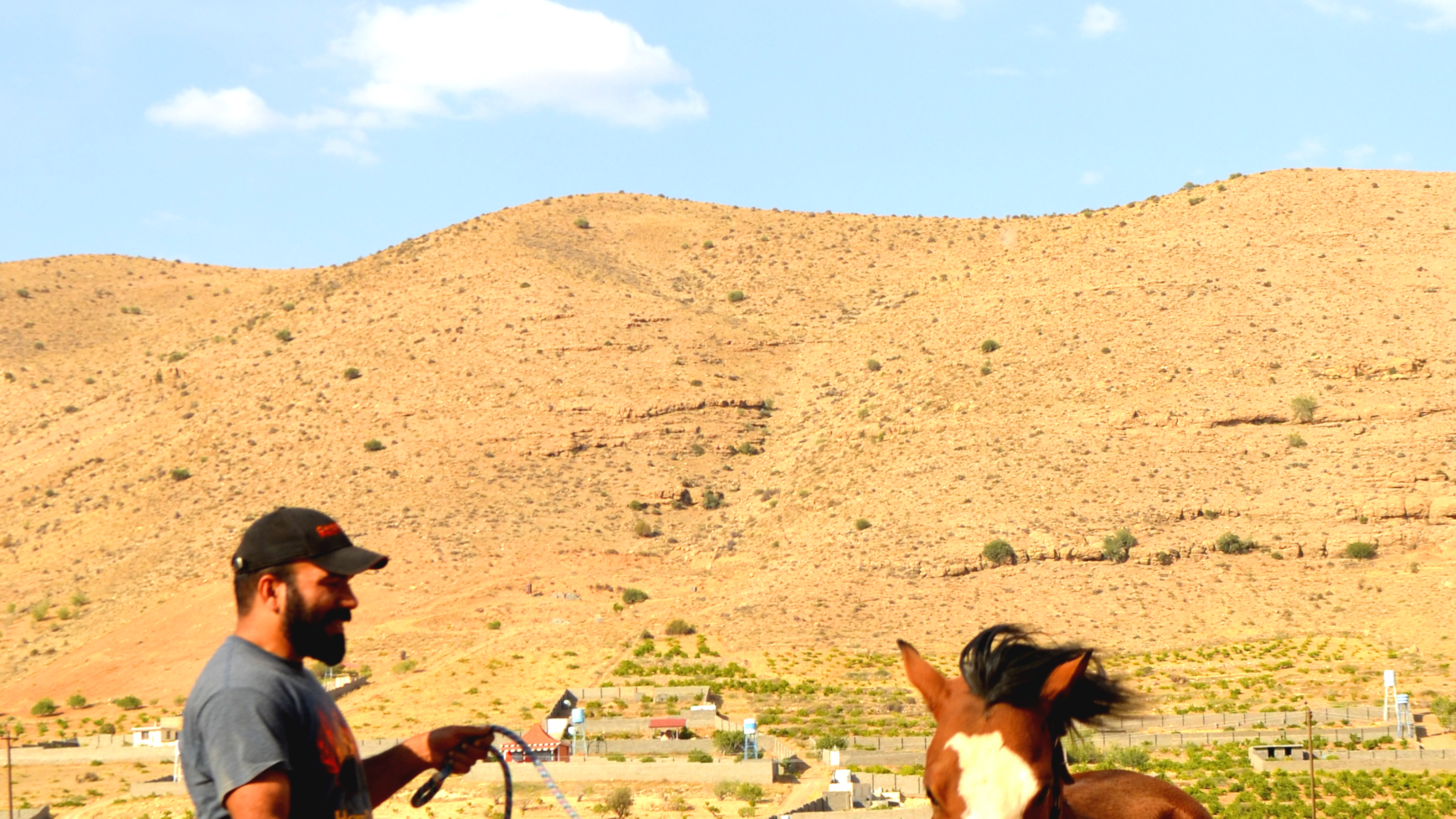 باشگاه سوارکاری امیران (آرمان نعمتی)