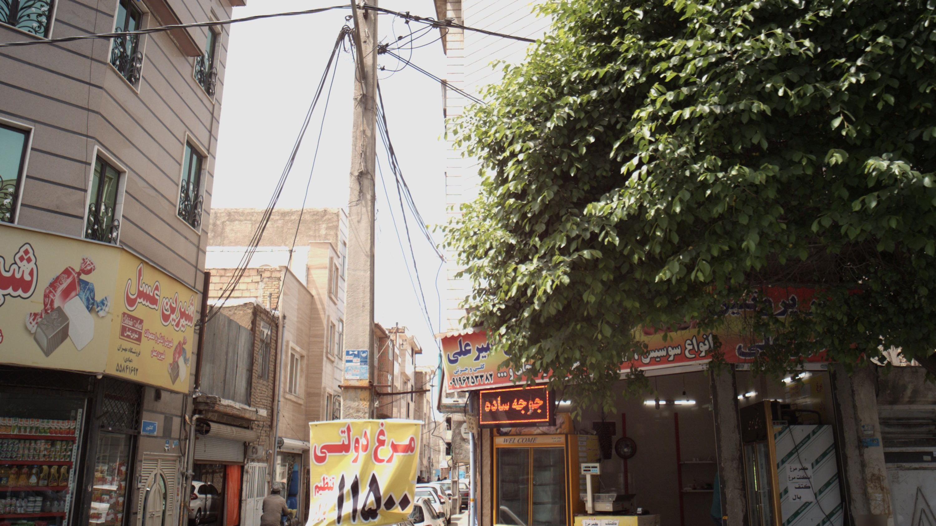 پروتئینی امیر علی
