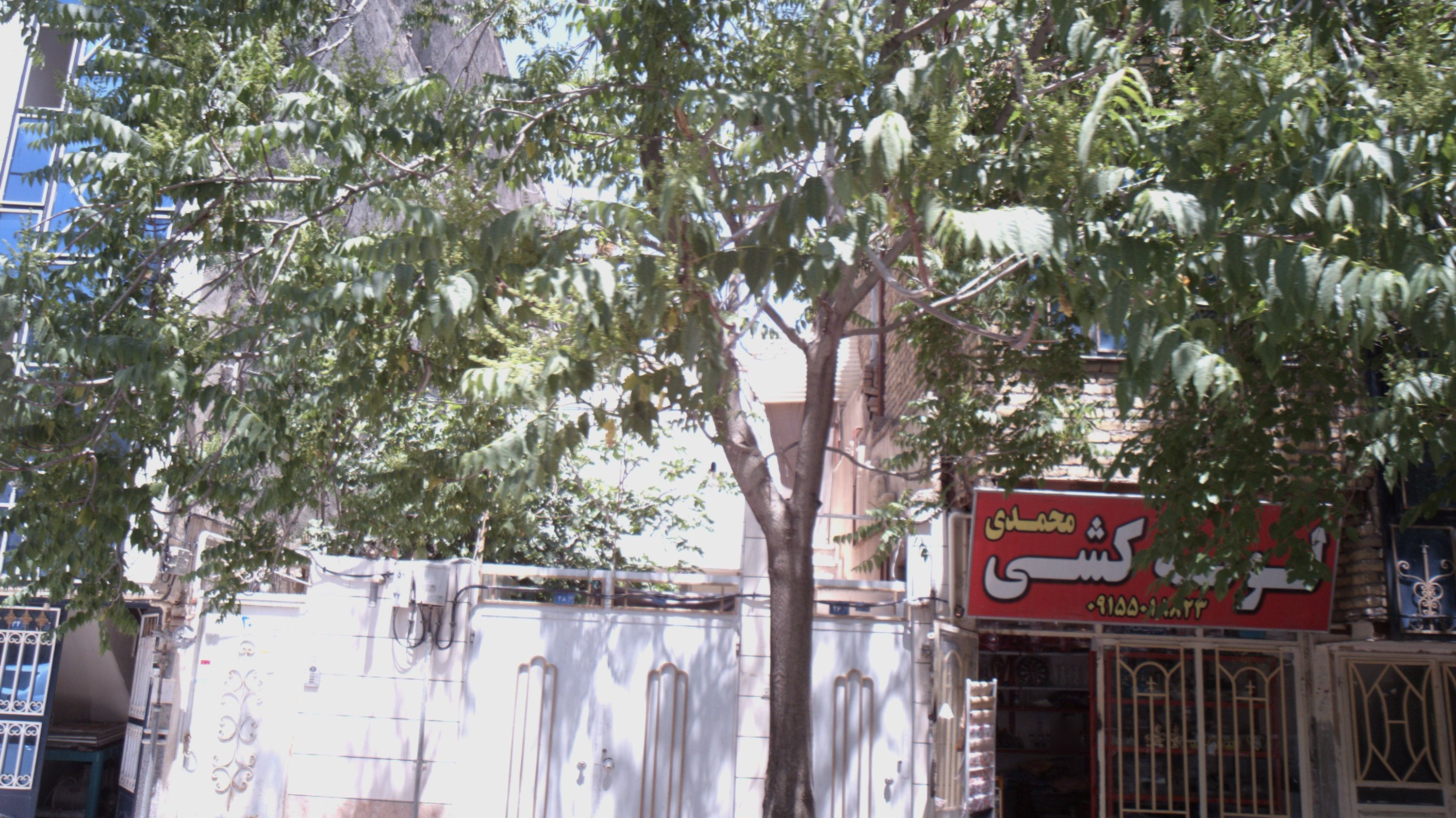 لوله کشی محمدی