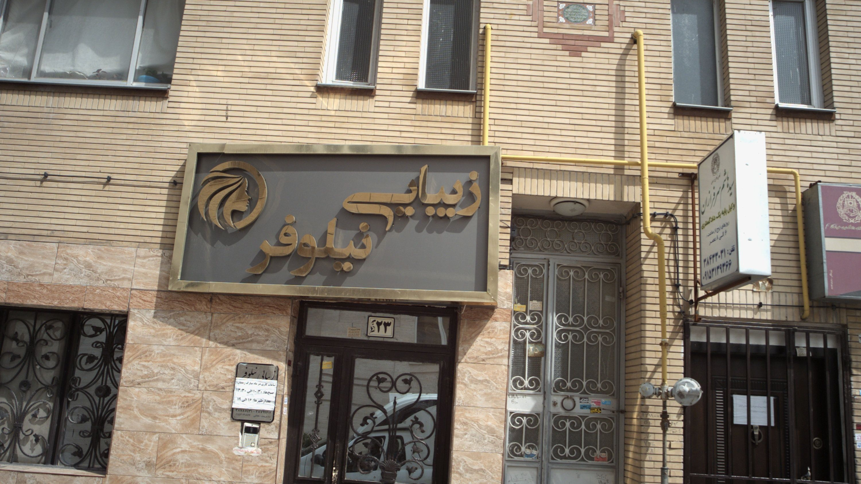 زیبایی نیلوفر