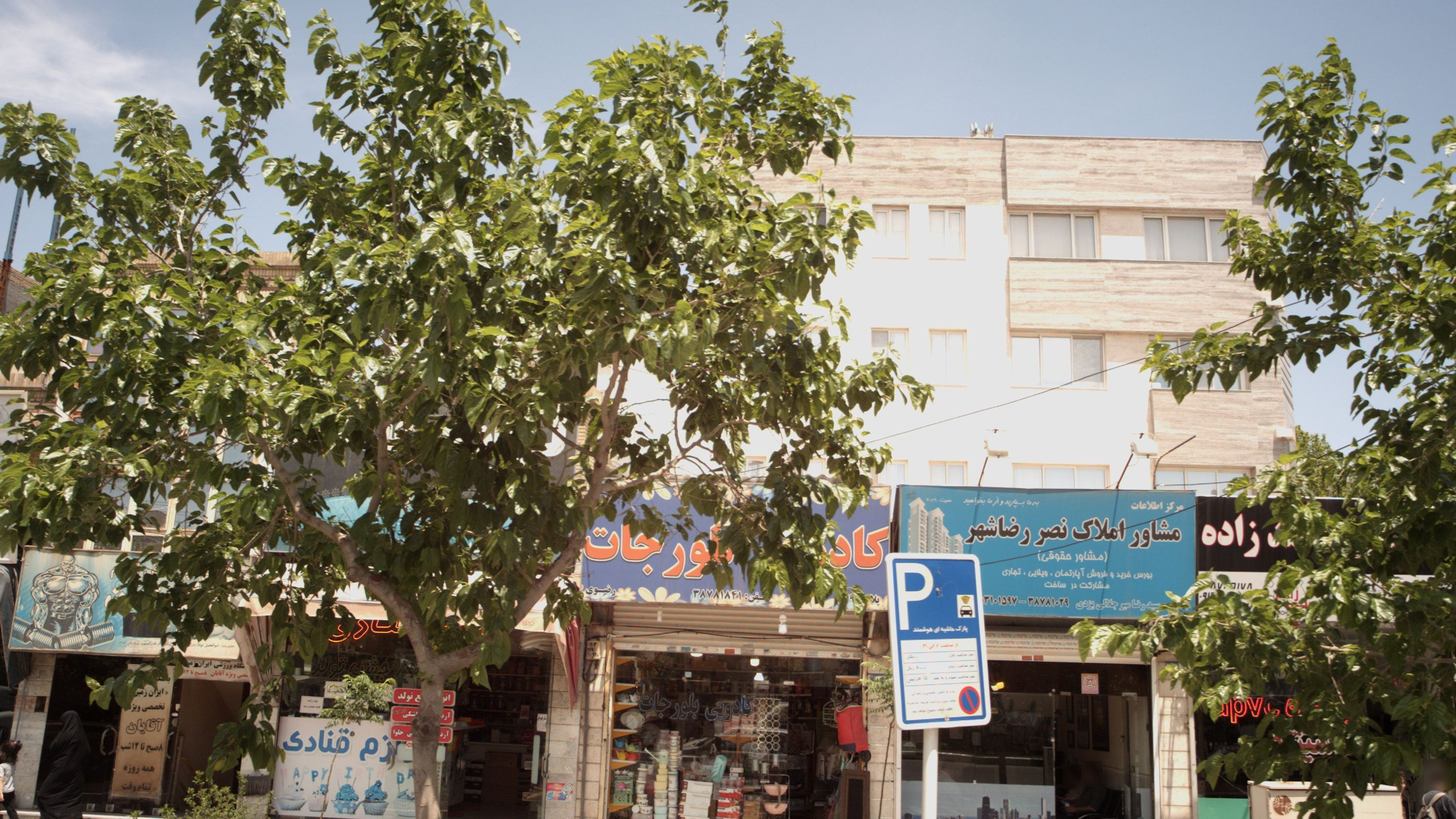 مشاور املاک نصر رضاشهر