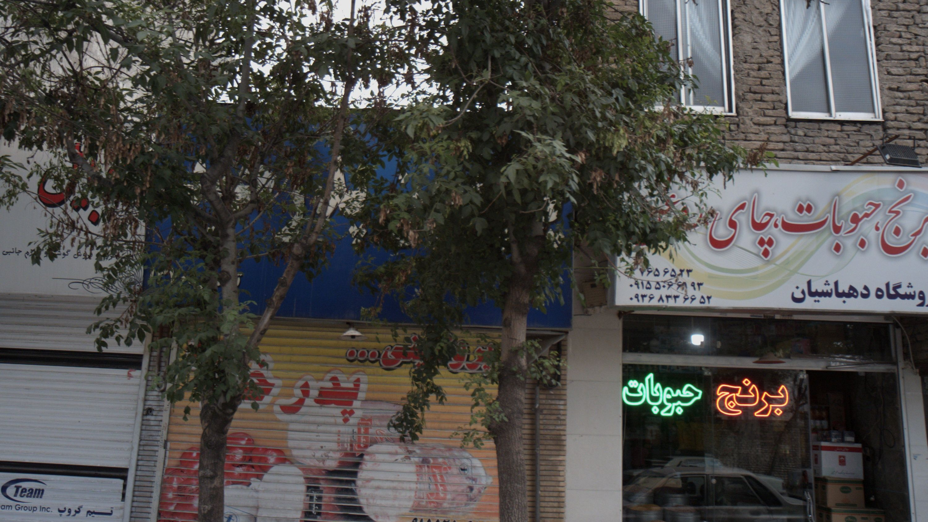 پروتئینی پدرخوب