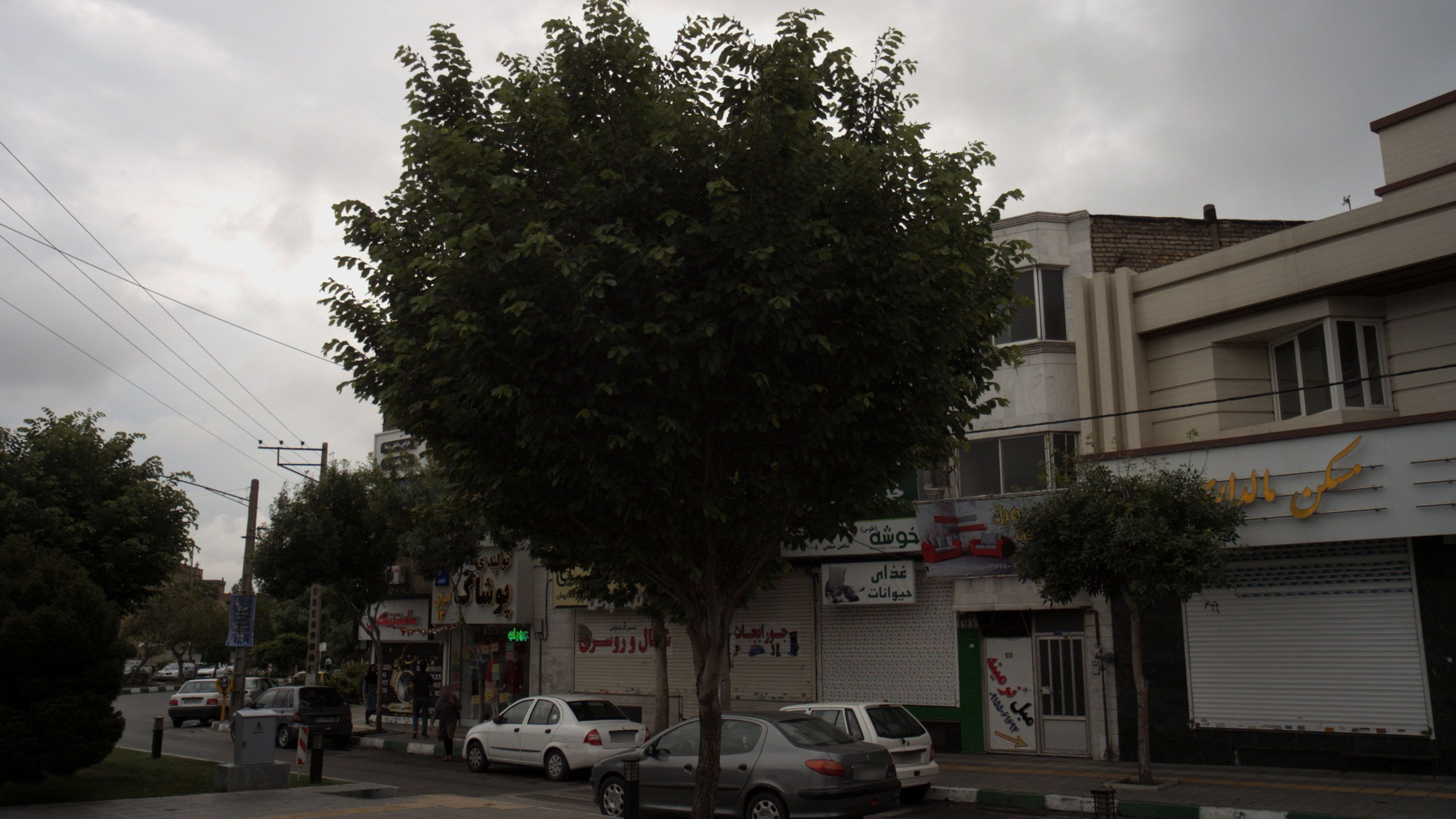 مبل نرمینه