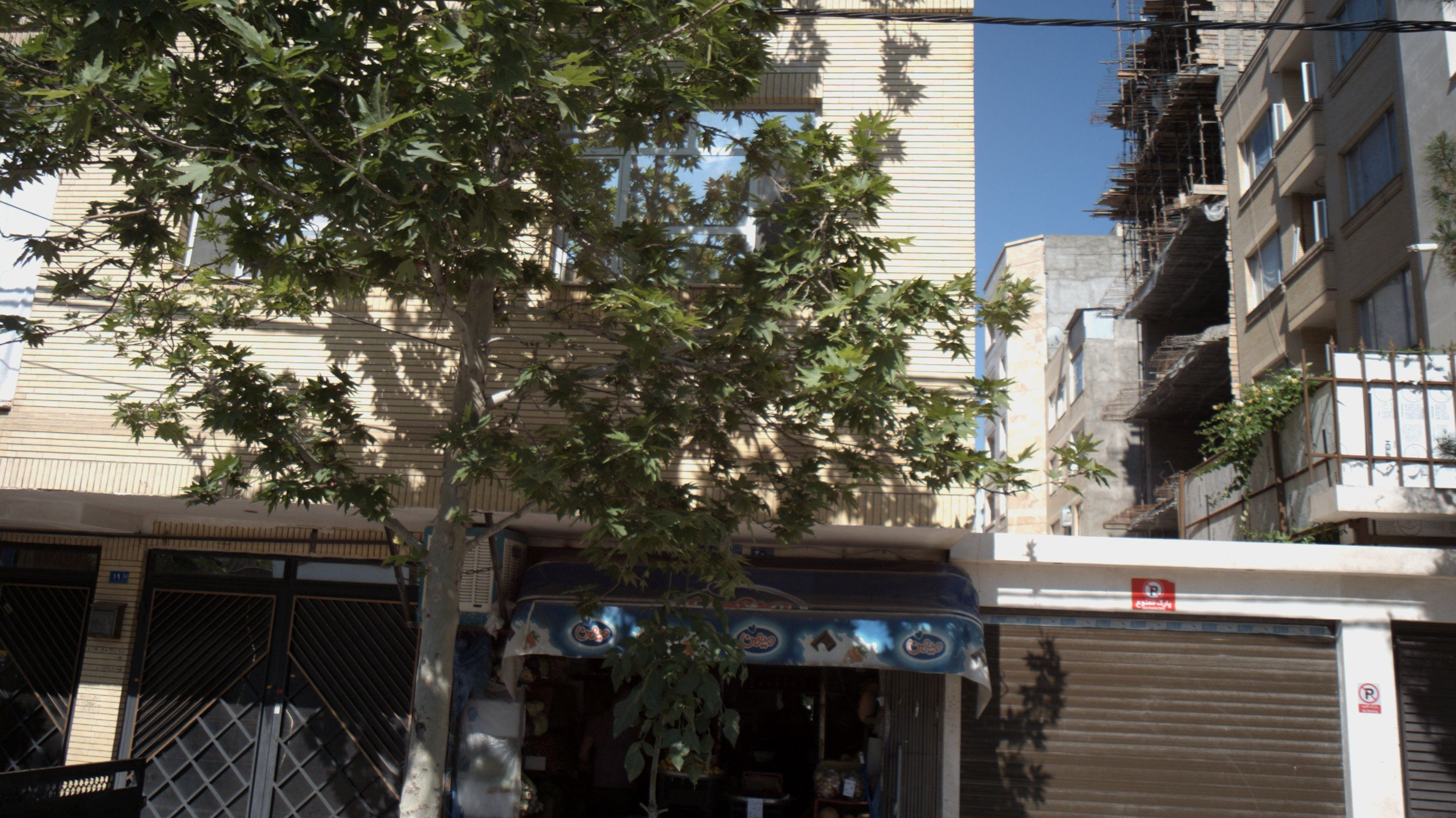 سوپر میوه